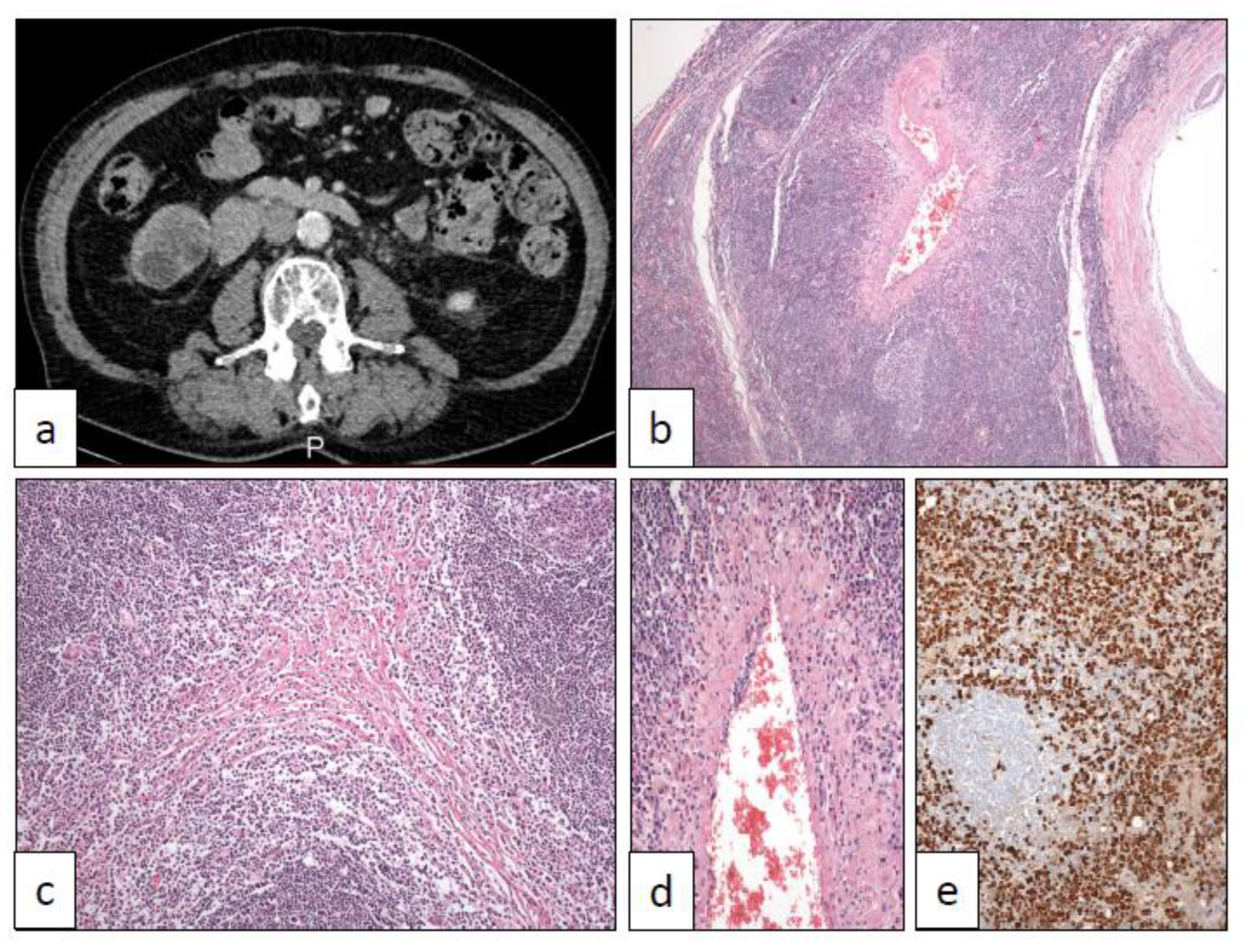 Clinpract 11 00017 g004