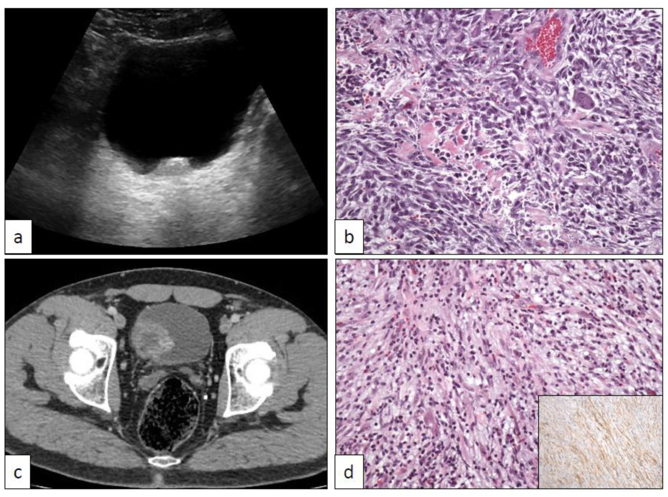 Clinpract 11 00017 g006