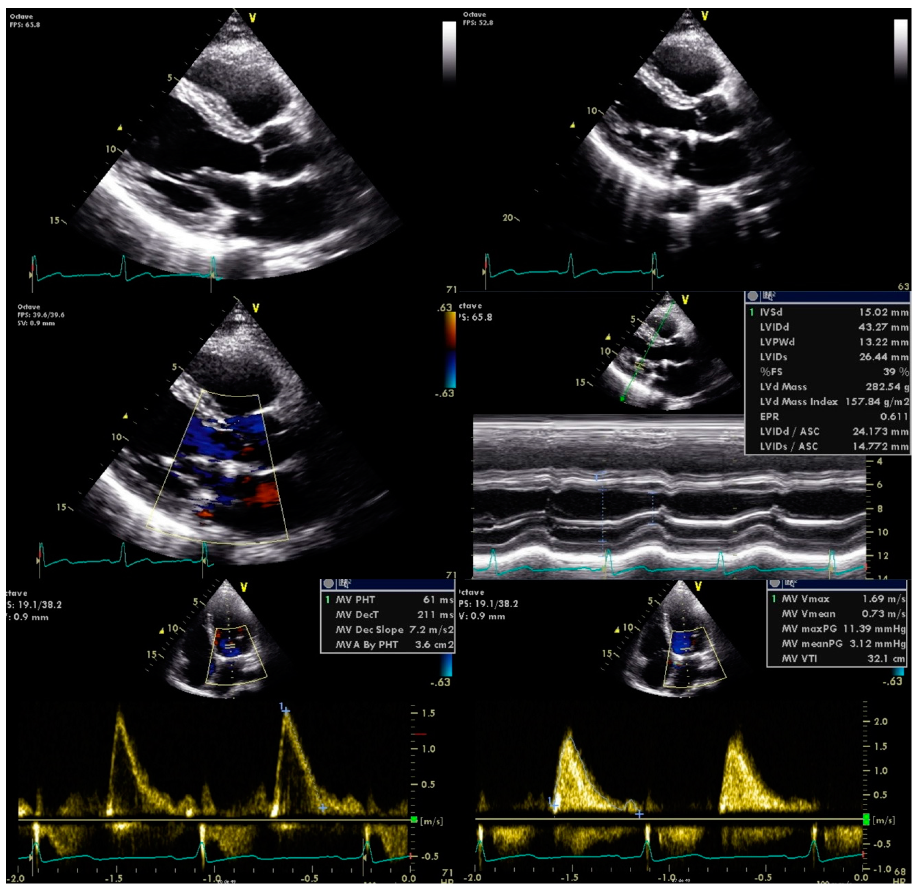 Clinpract 11 00022 g003