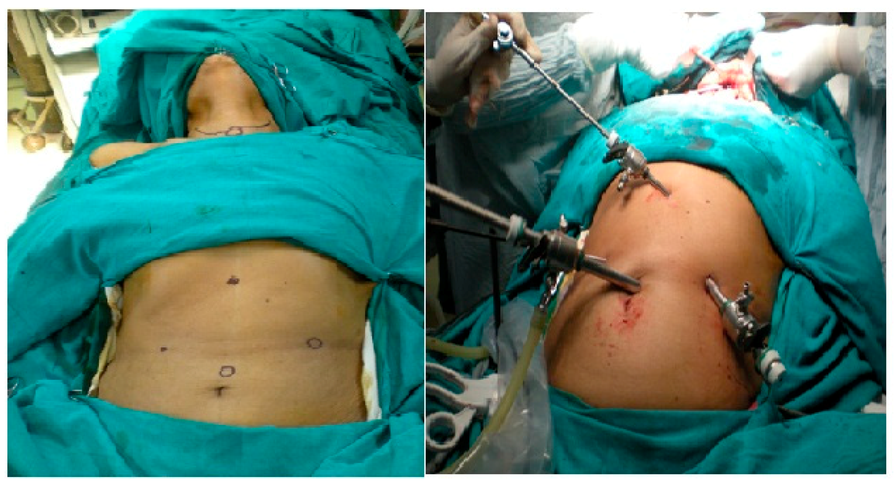 Clinpract 11 00025 g001