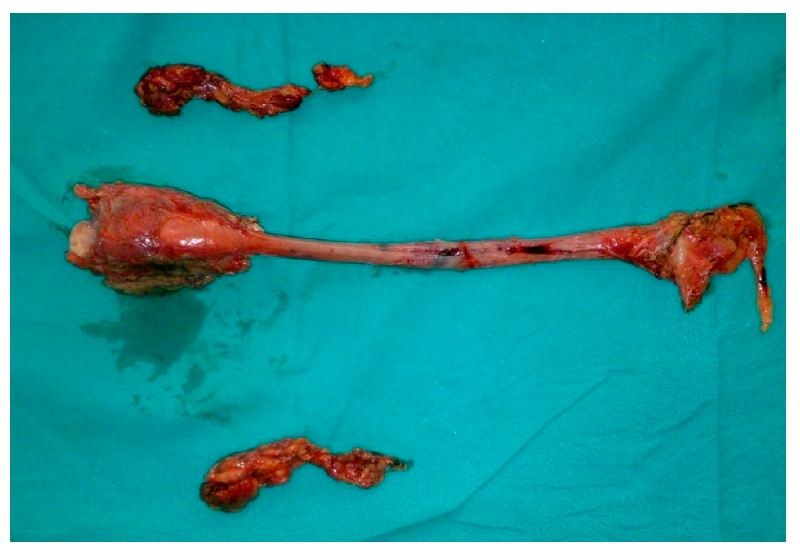 Clinpract 11 00025 g003