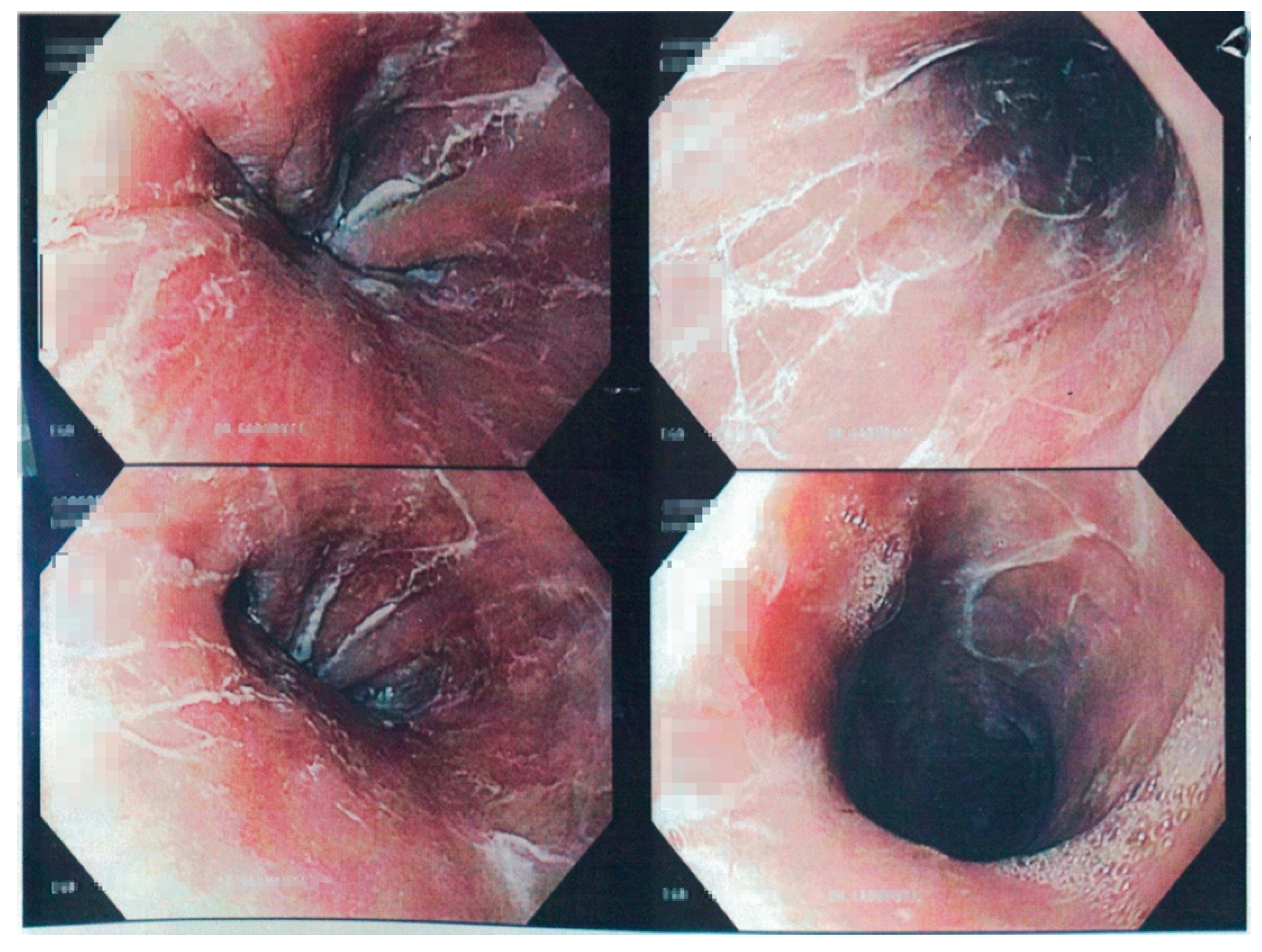 Clinpract 11 00026 g001 Clinpract 11 00026 g001