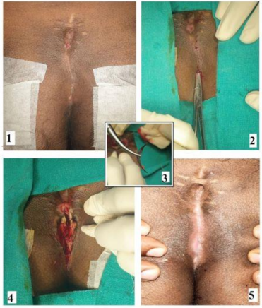 Clinpract 11 00028 g001