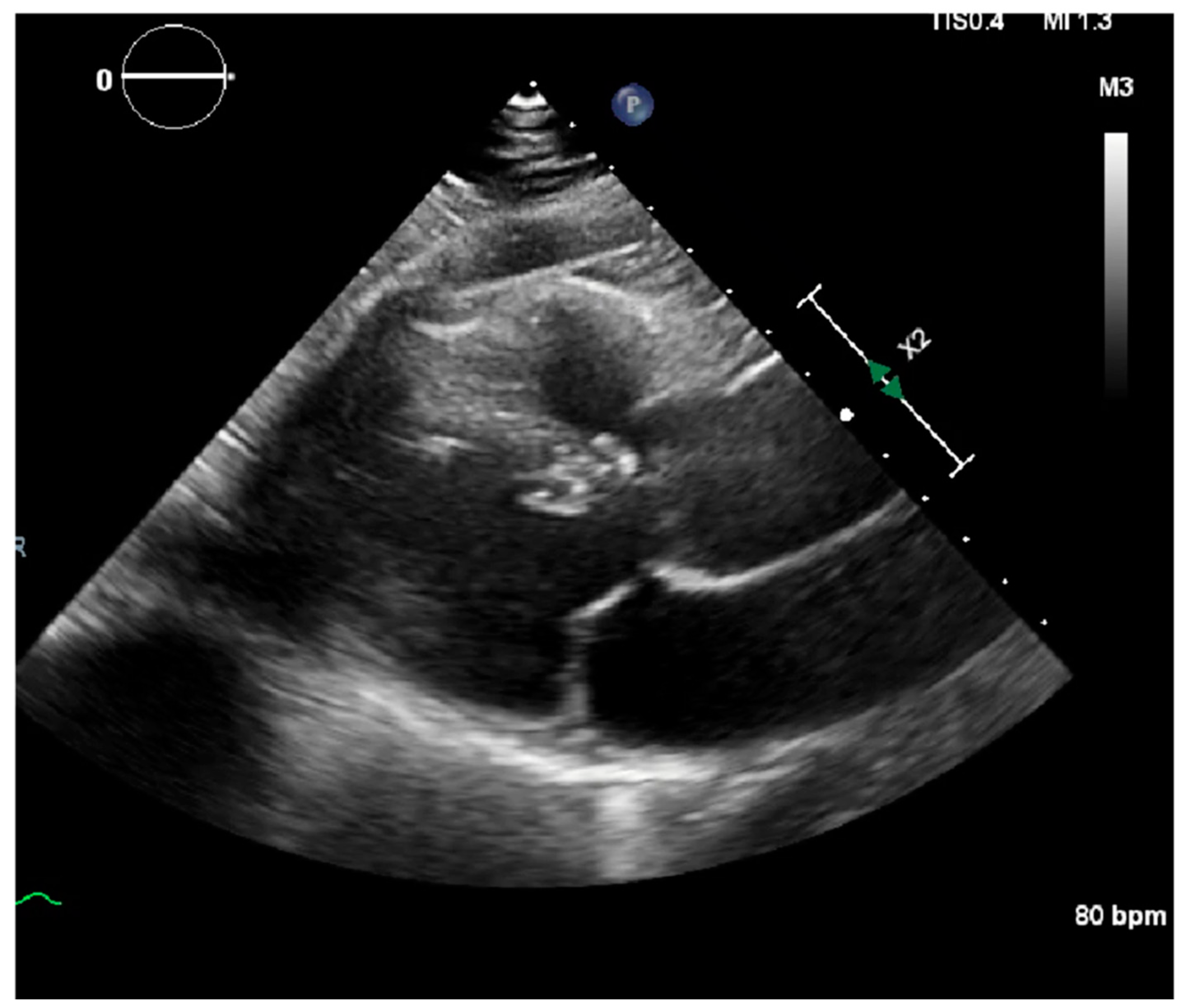 Clinpract 11 00032 g002