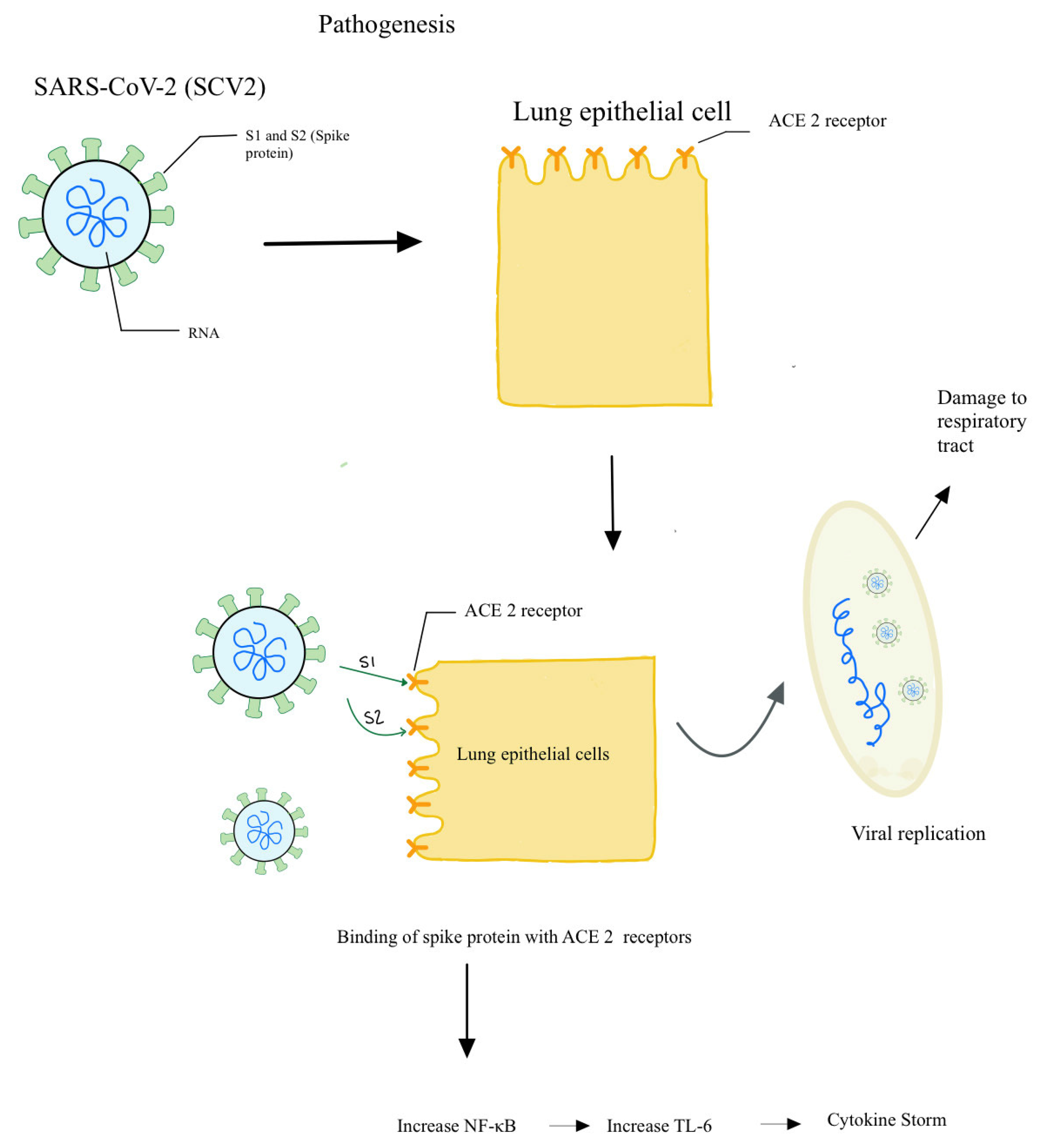 Clinpract 11 00044 g001