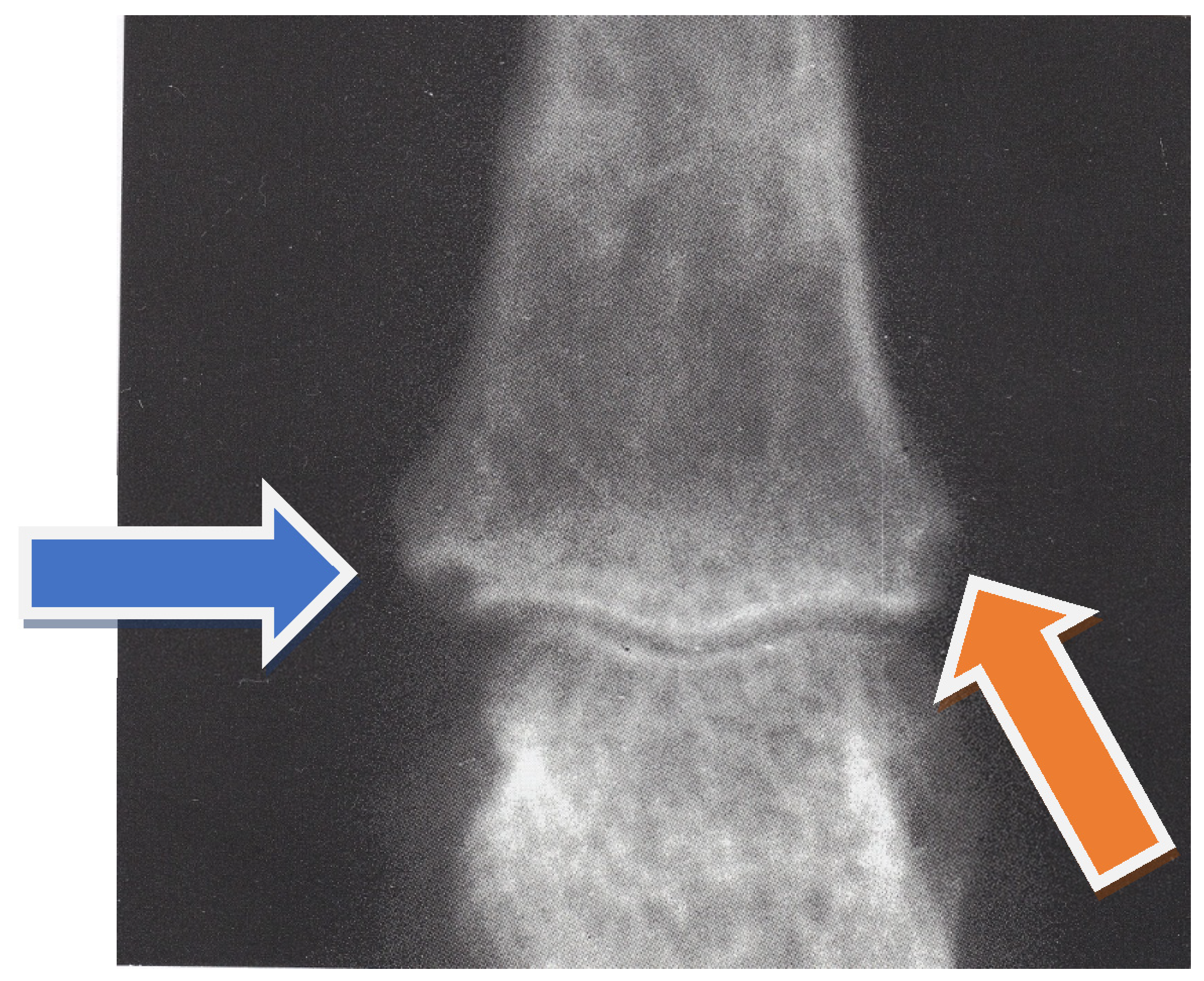 Clinpract 11 00055 g001