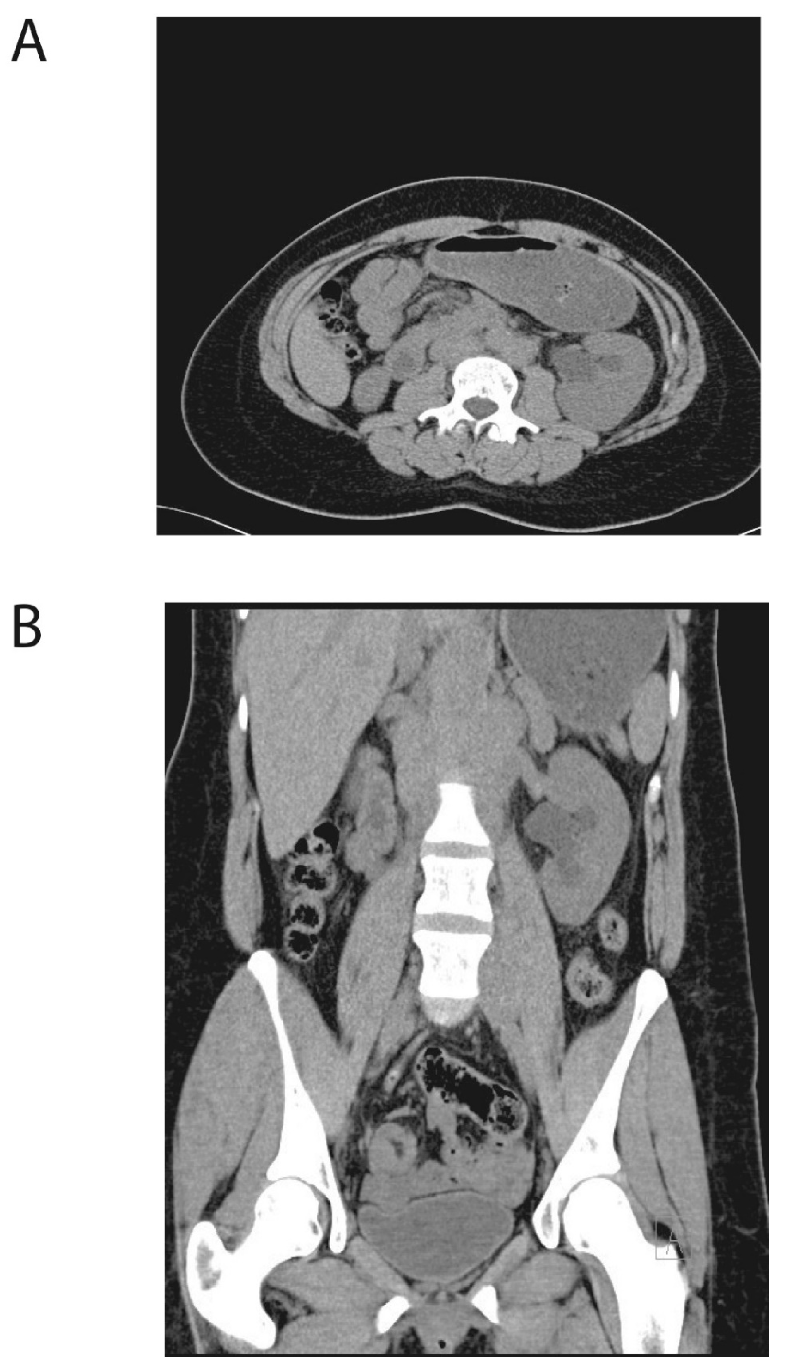 Clinpract 11 00061 g001 Clinpract 11 00061 g001