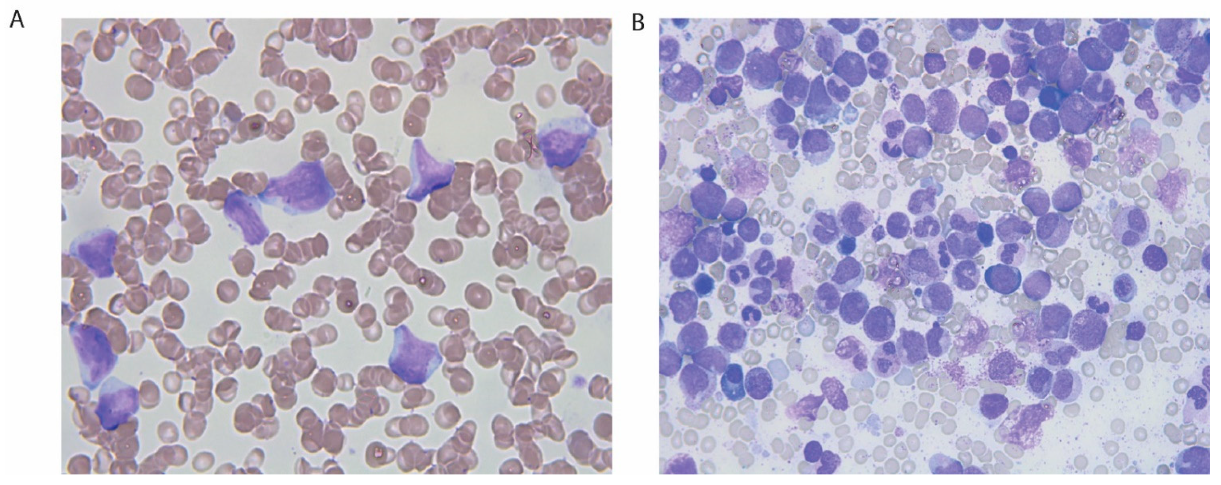 Clinpract 11 00061 g002 Clinpract 11 00061 g002