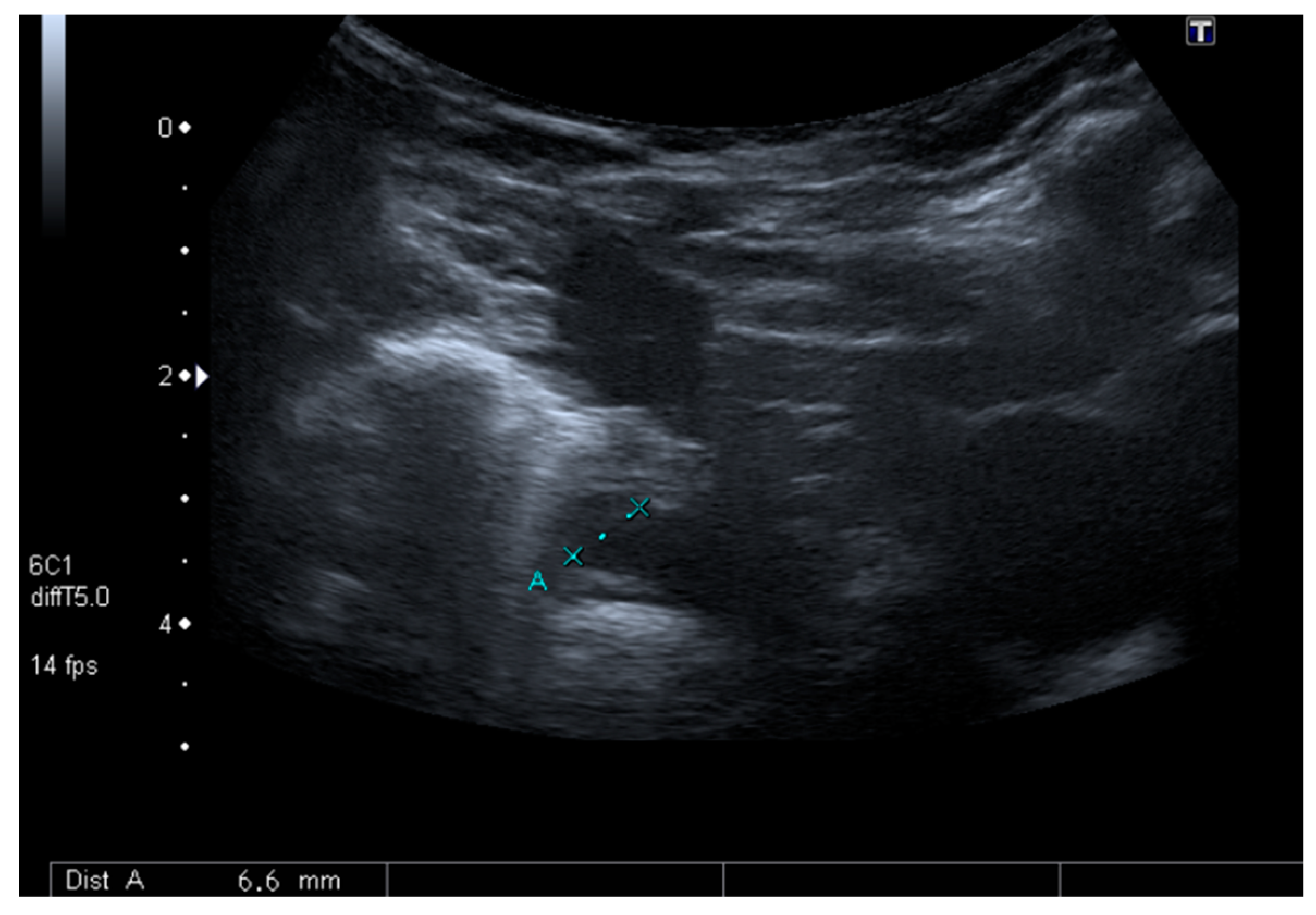 Clinpract 11 00066 g003 550