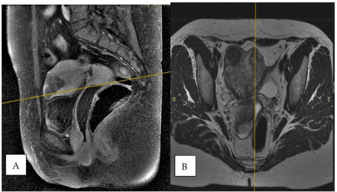 Clinpract 11 00078 g001