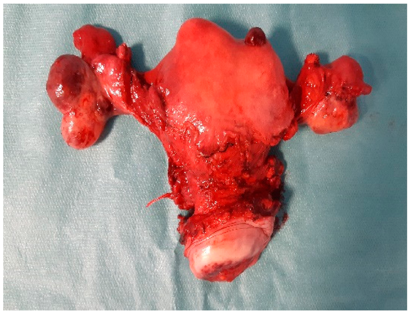 Clinpract 11 00078 g002