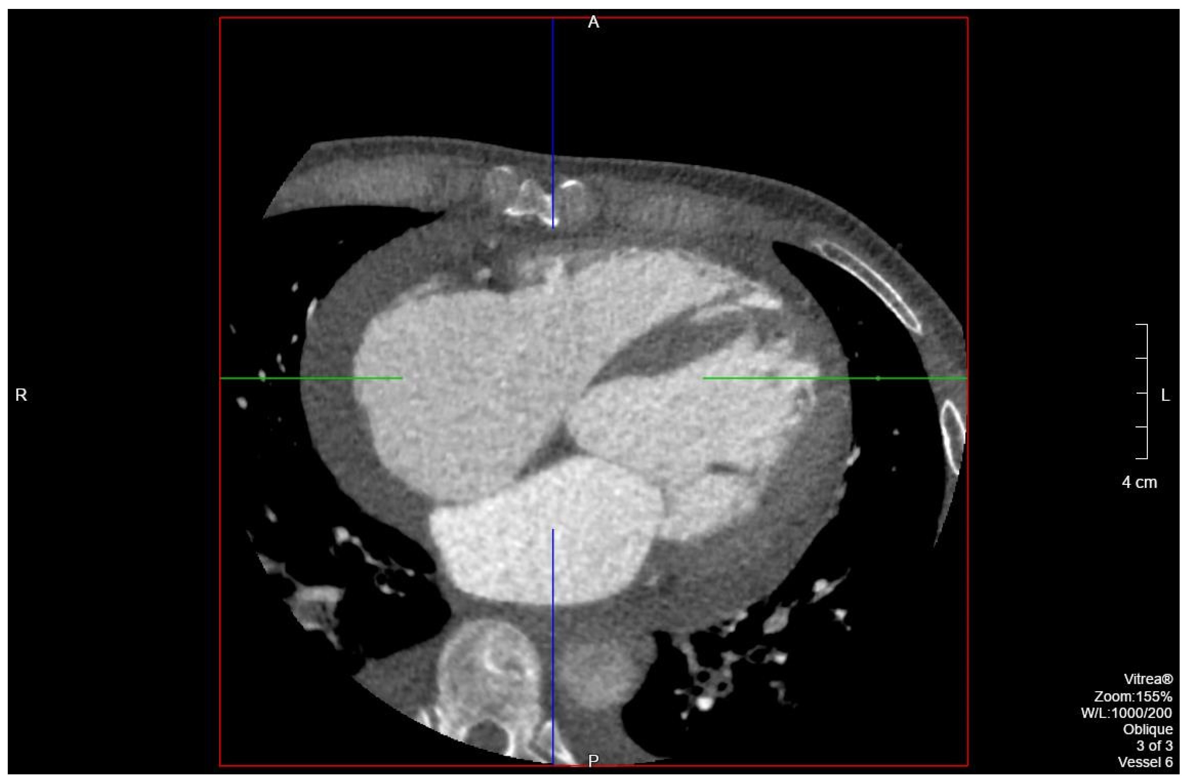 Clinpract 11 00083 g004 550