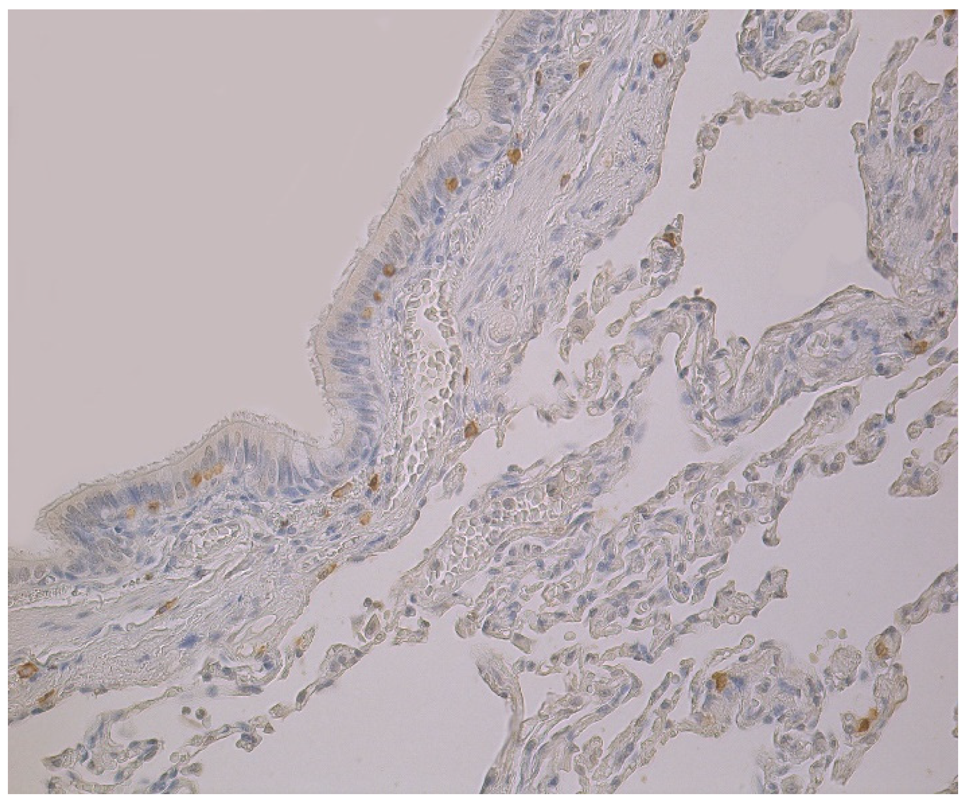 Clinpract 11 00088 g002