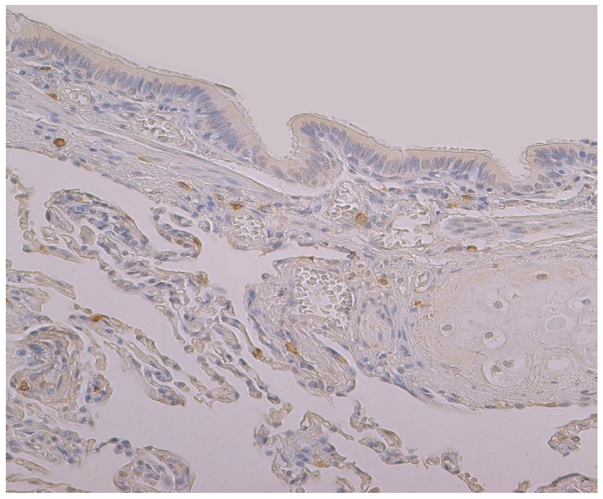 Clinpract 11 00088 g003