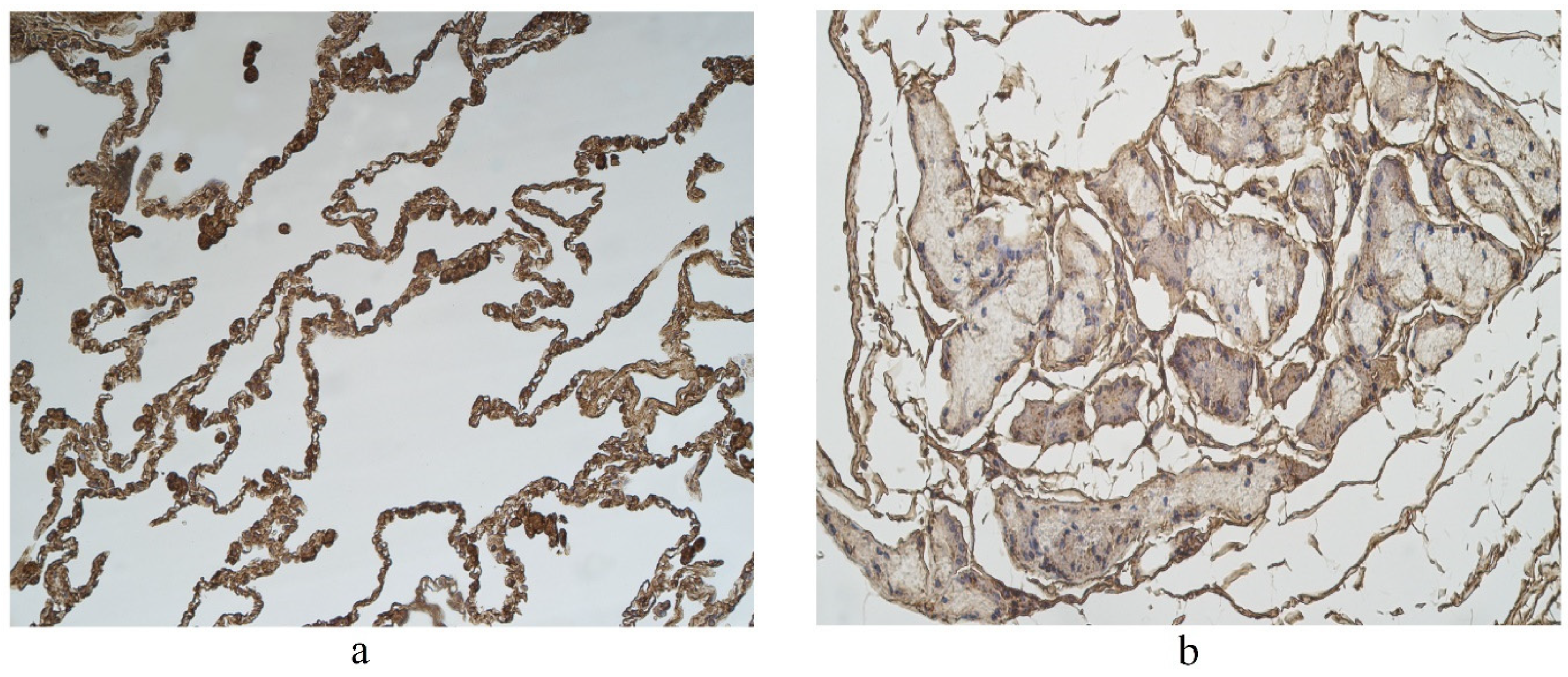 Clinpract 11 00088 g004