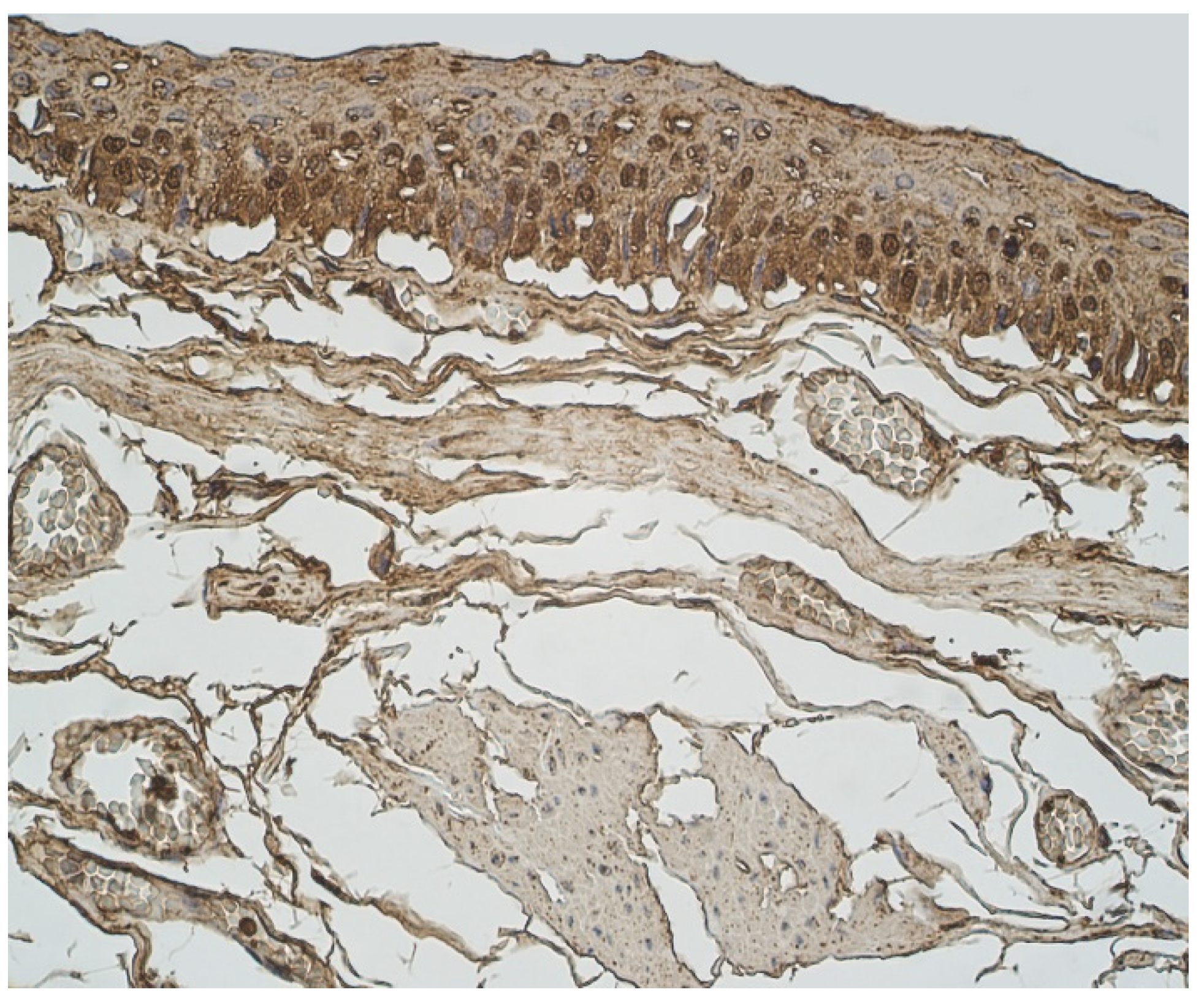 Clinpract 11 00088 g006