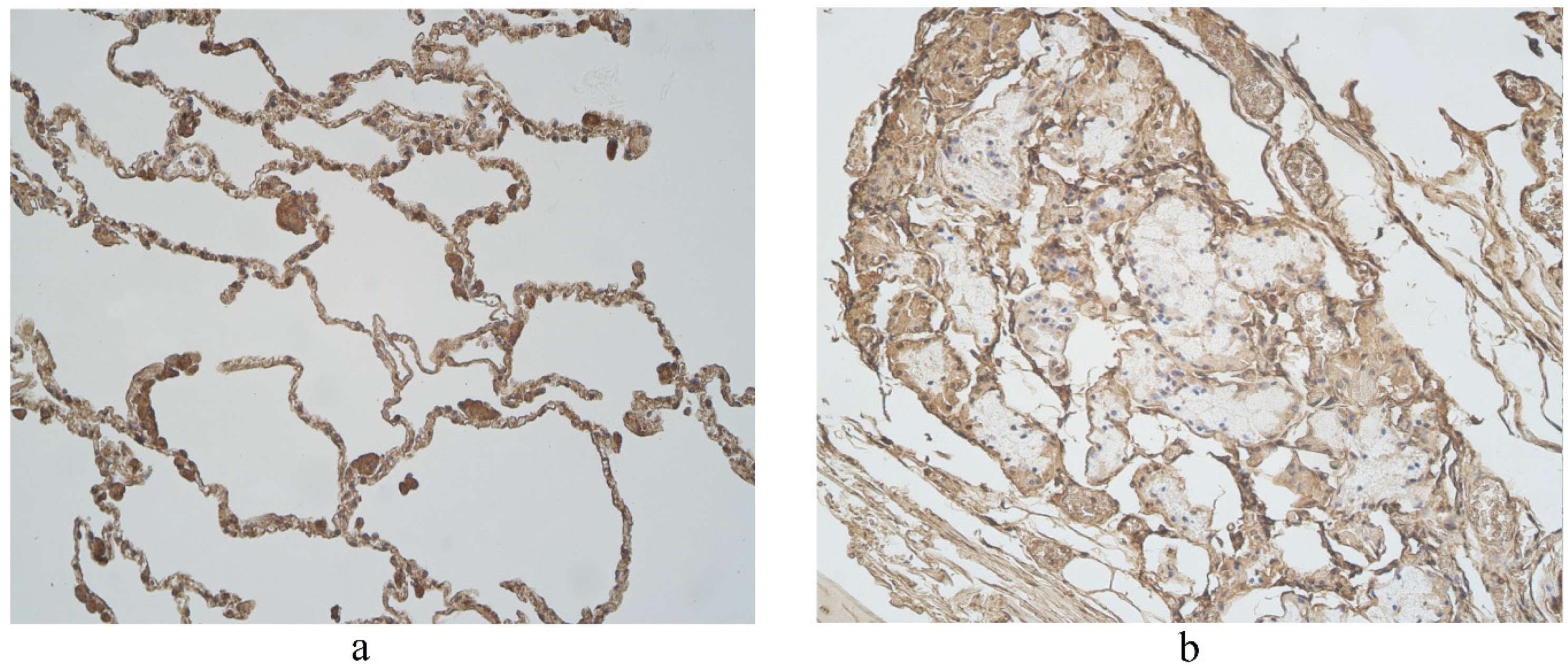 Clinpract 11 00088 g007