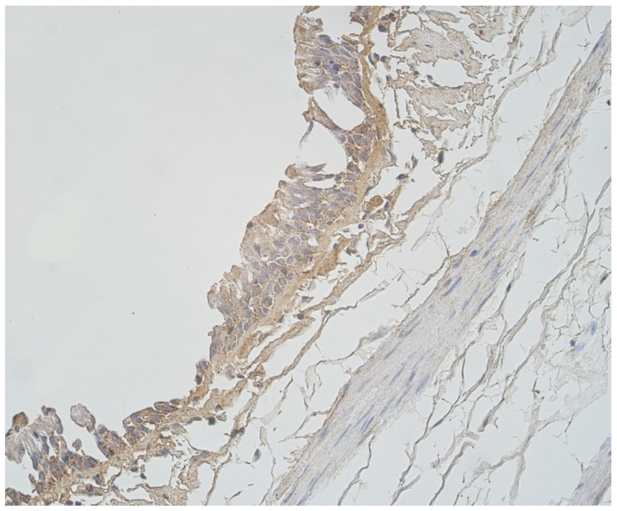 Clinpract 11 00088 g008