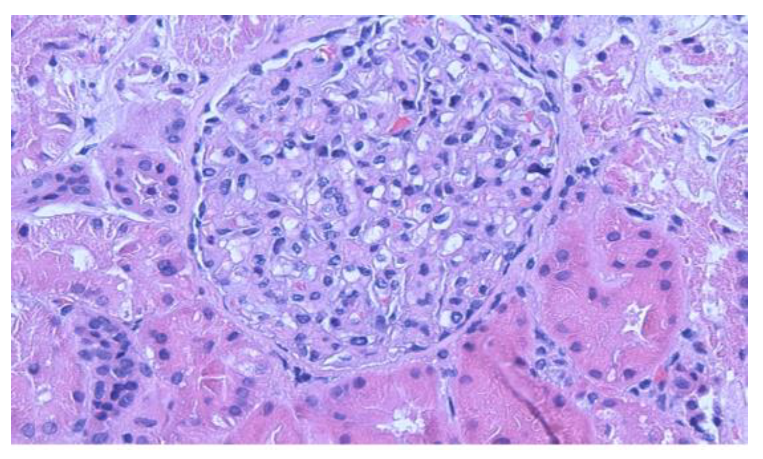 Clinpract 11 00089 g001