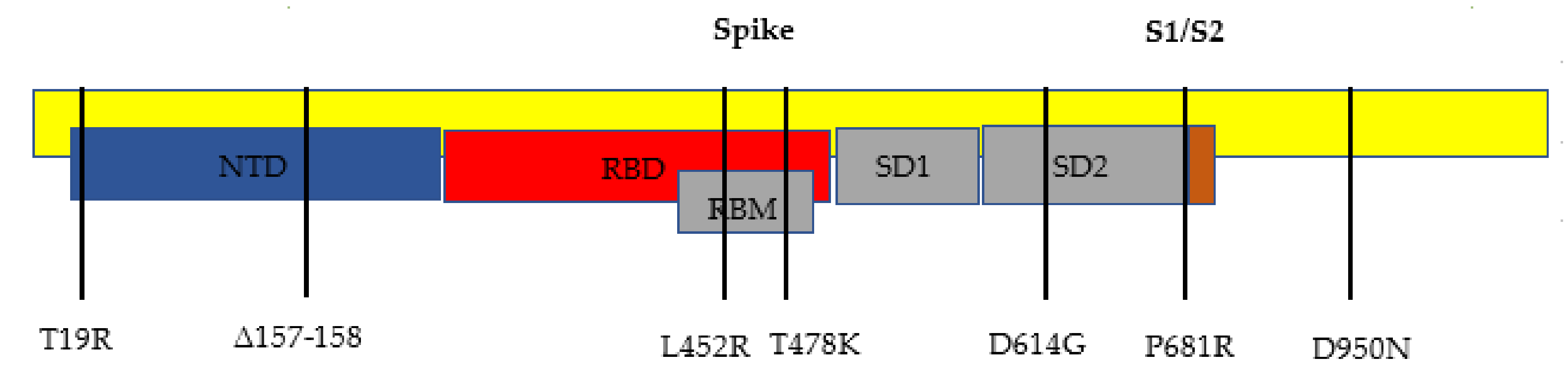 Clinpract 11 00093 g002 550