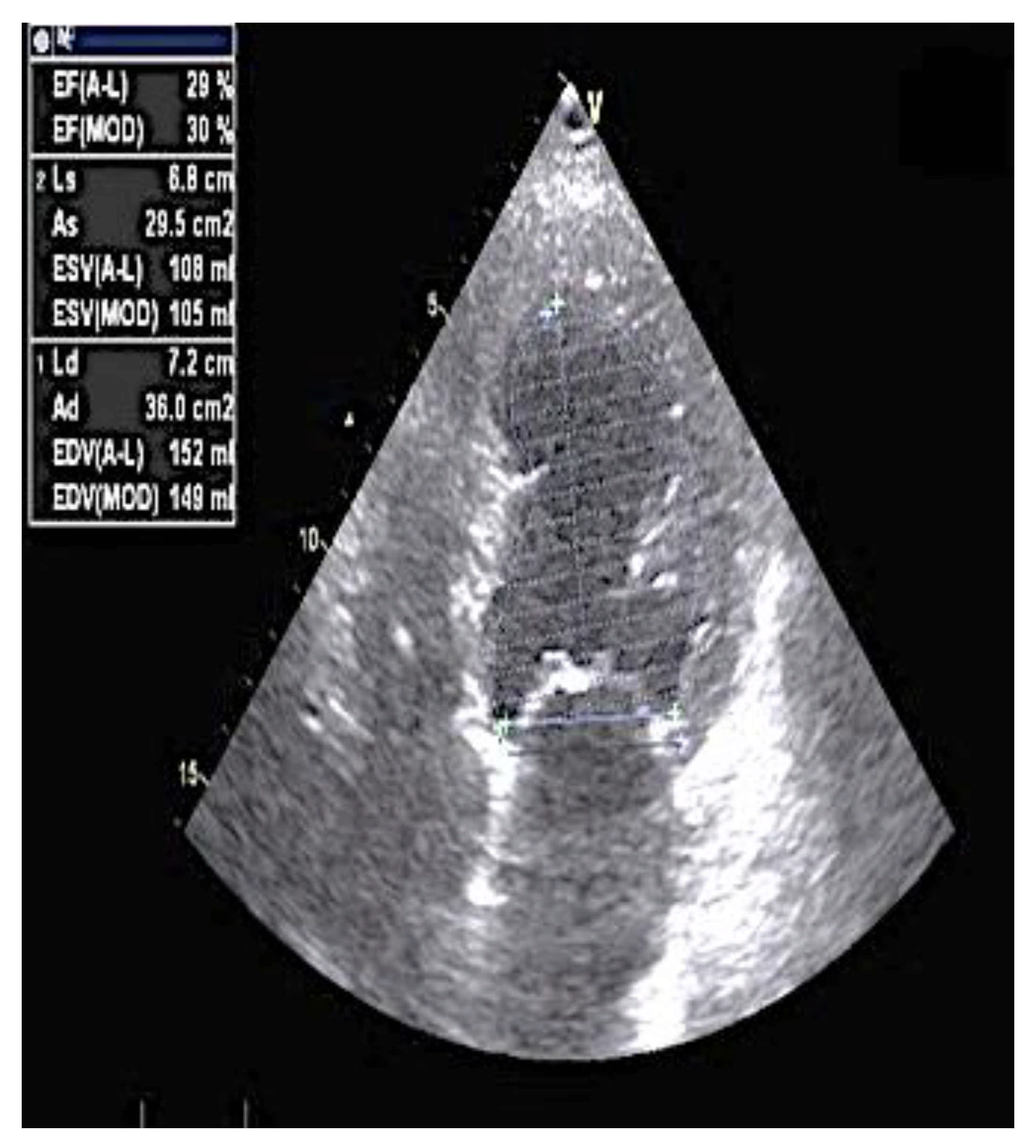 Clinpract 11 00098 g001