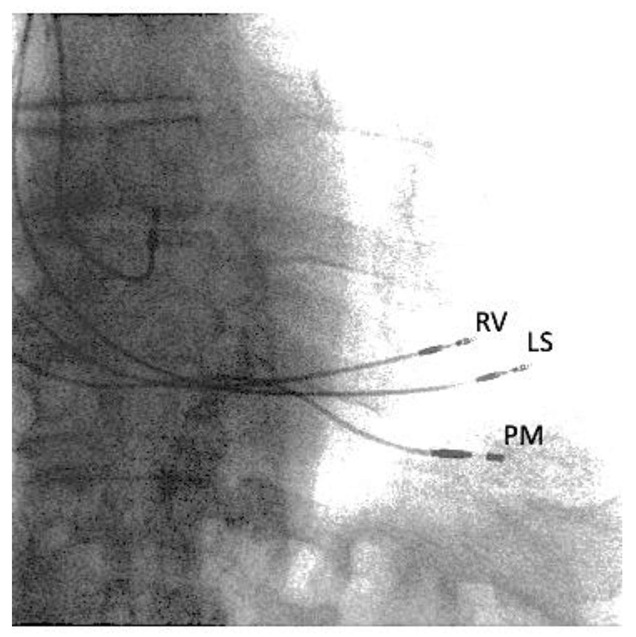Clinpract 11 00098 g002