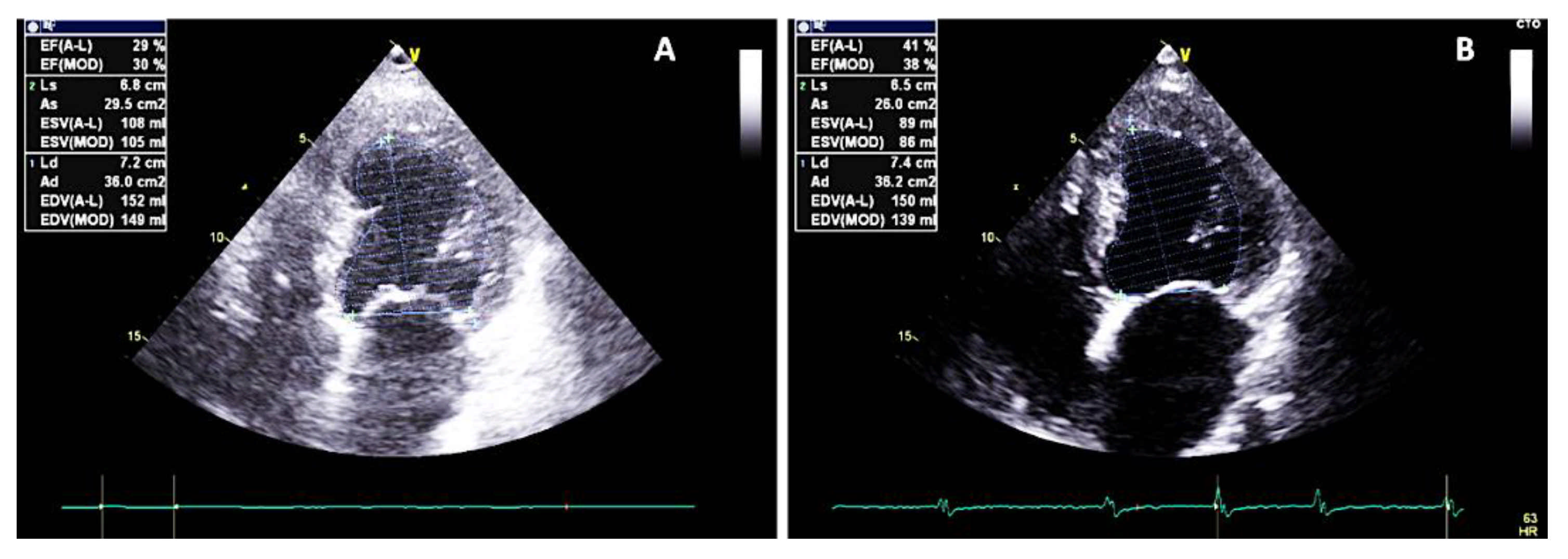 Clinpract 11 00098 g004