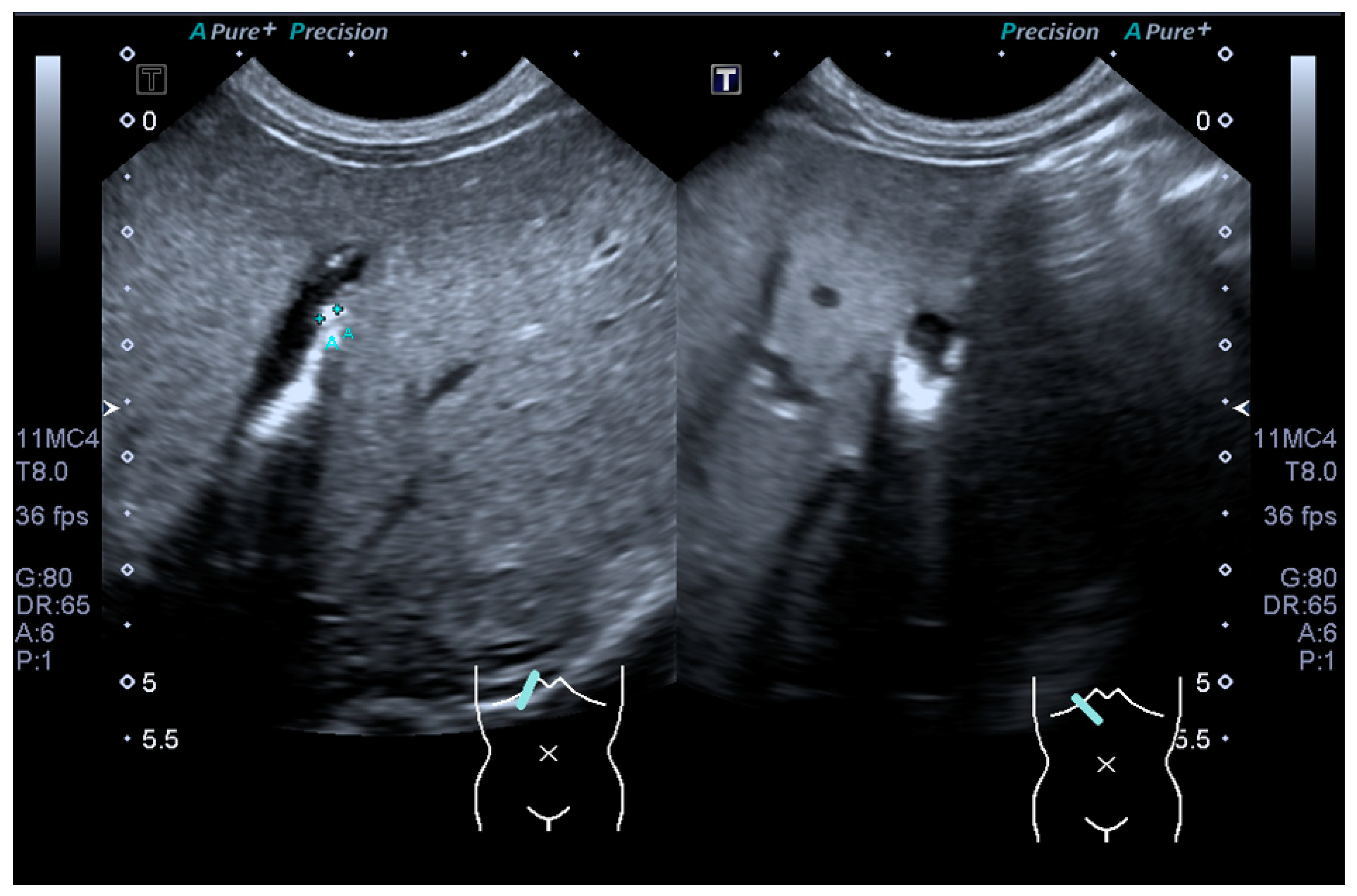 Clinpract 11 00102 g001 Clinpract 11 00102 g001