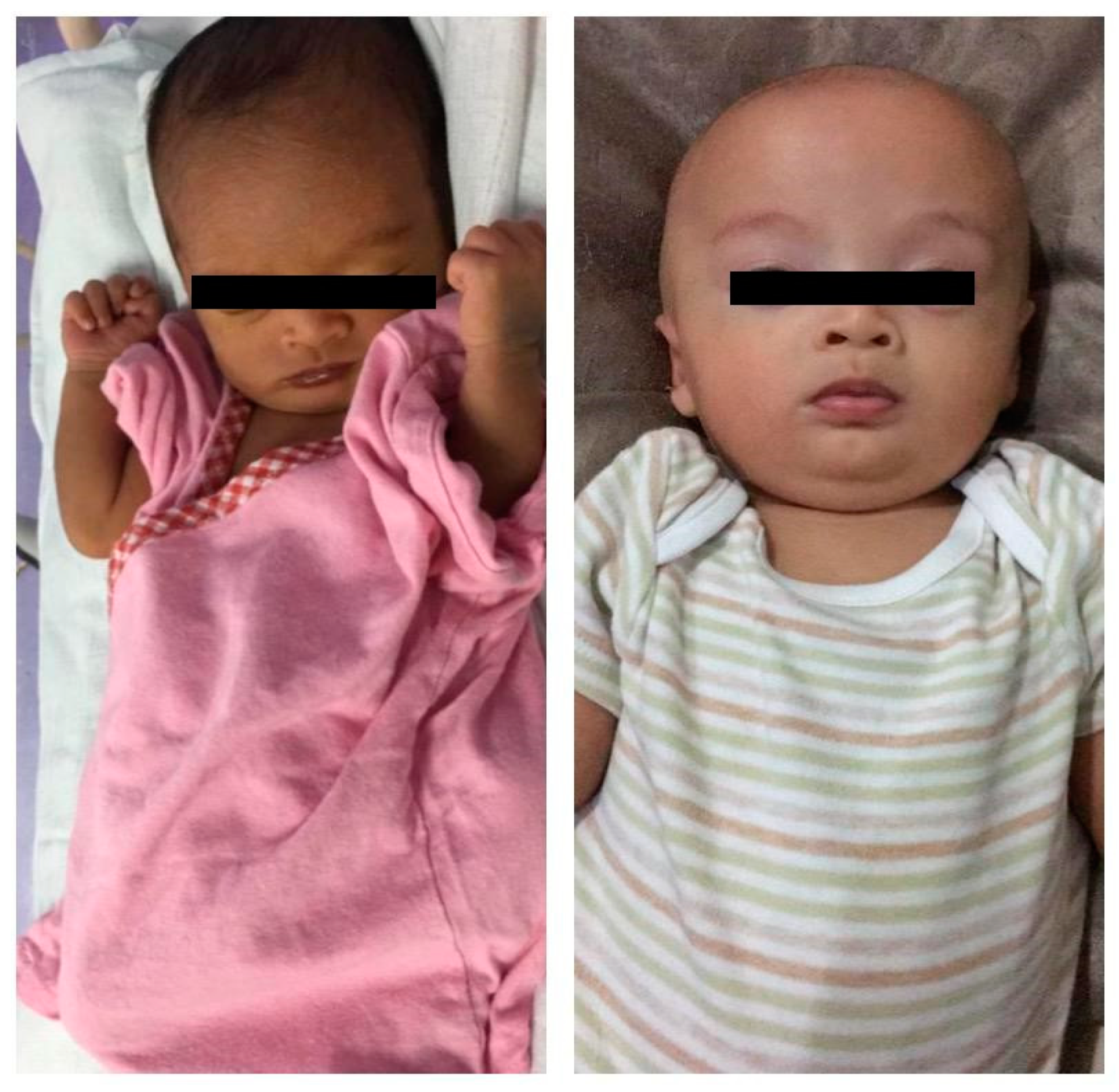 Clinpract 11 00102 g002 Clinpract 11 00102 g002