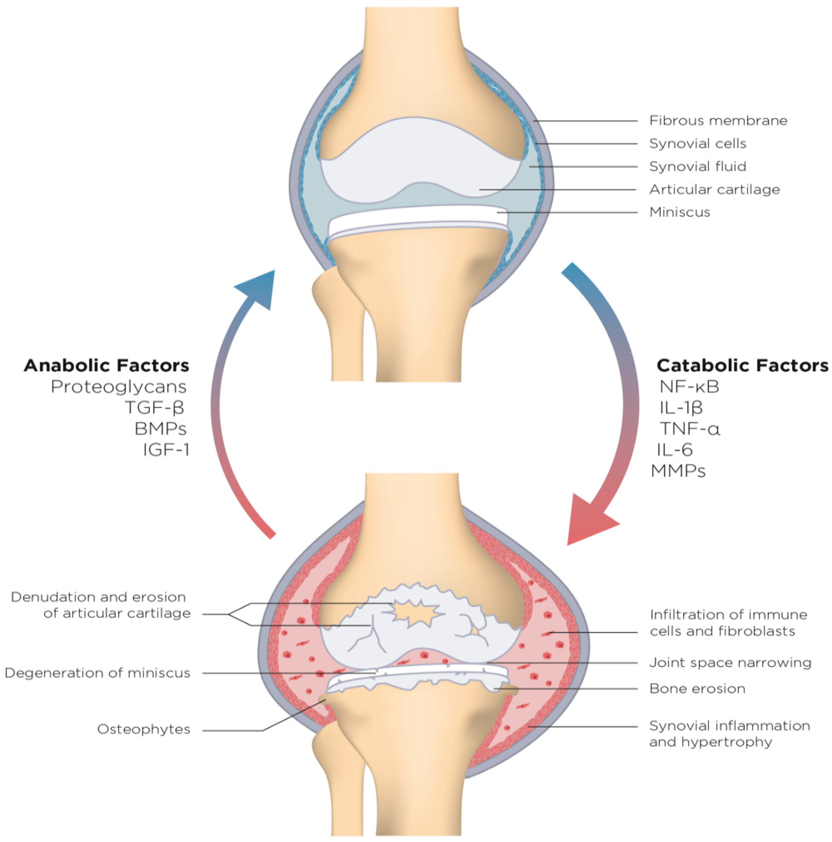 Clinpract 11 00104 g001