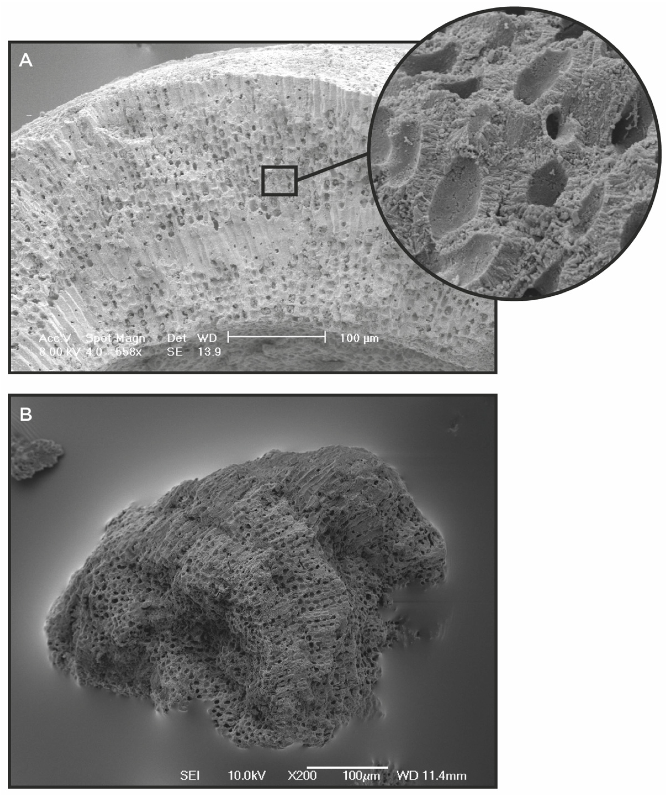 Clinpract 11 00104 g002