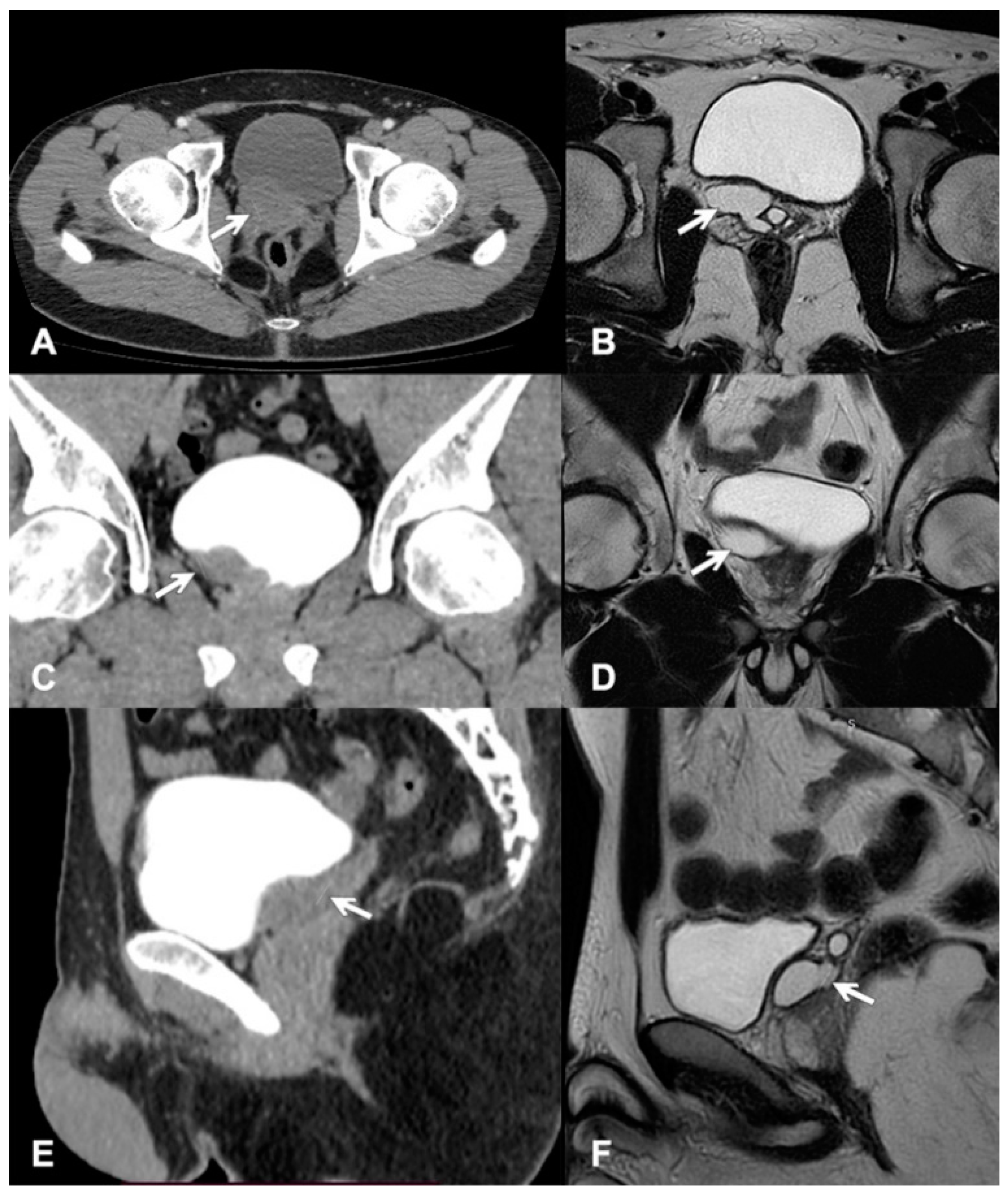 Clinpract 11 00108 g002 550