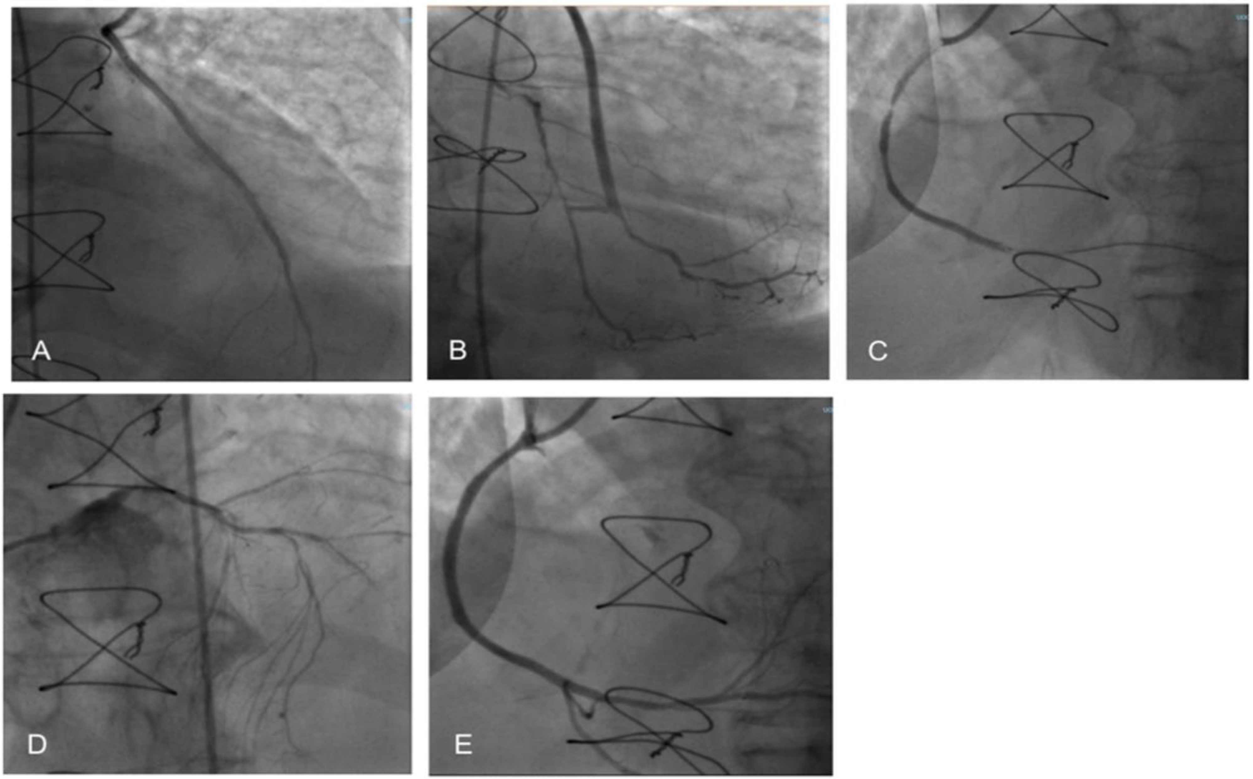 Clinpract 12 00015 g001