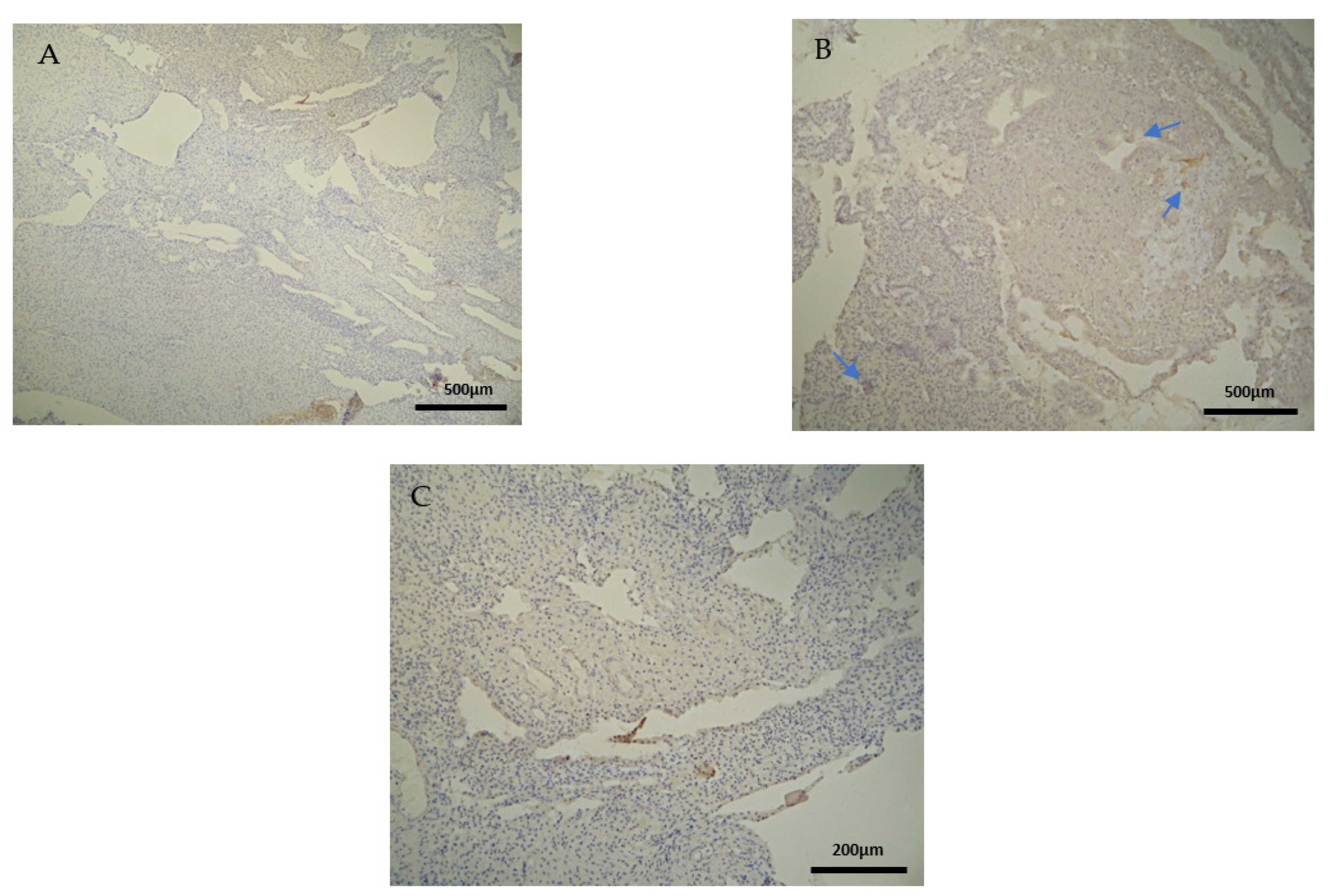 Clinpract 12 00022 g002