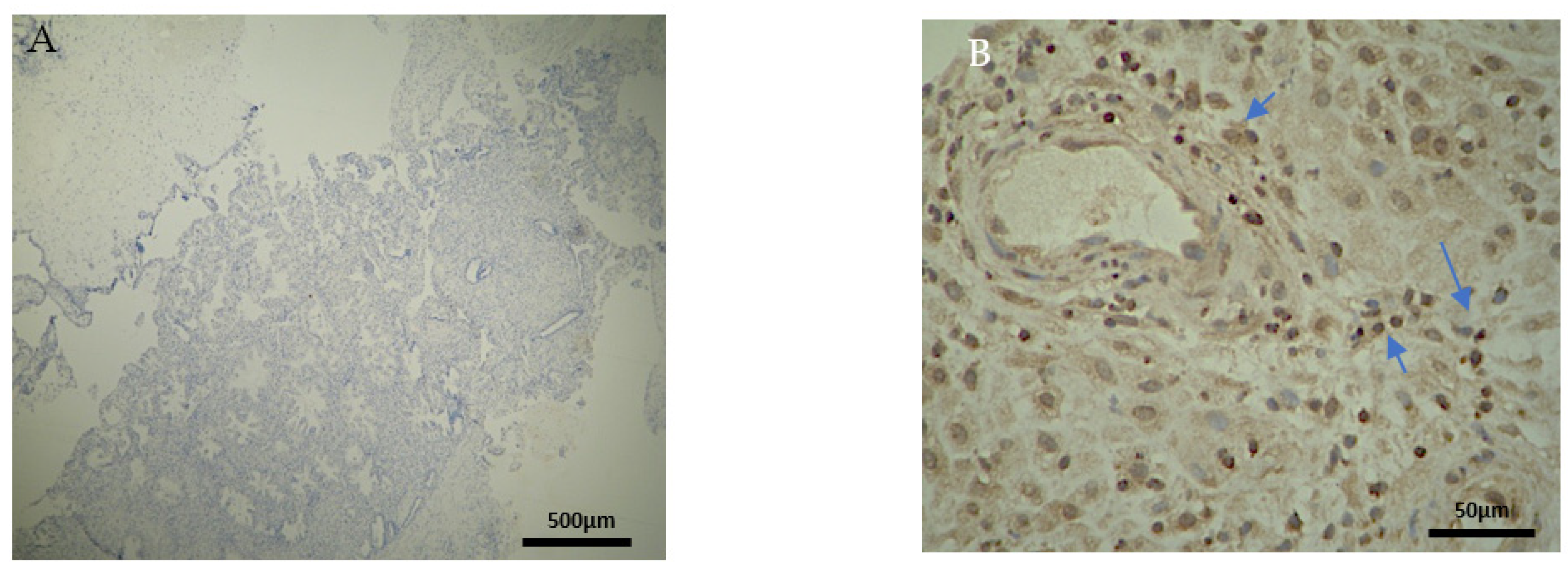 Clinpract 12 00022 g004