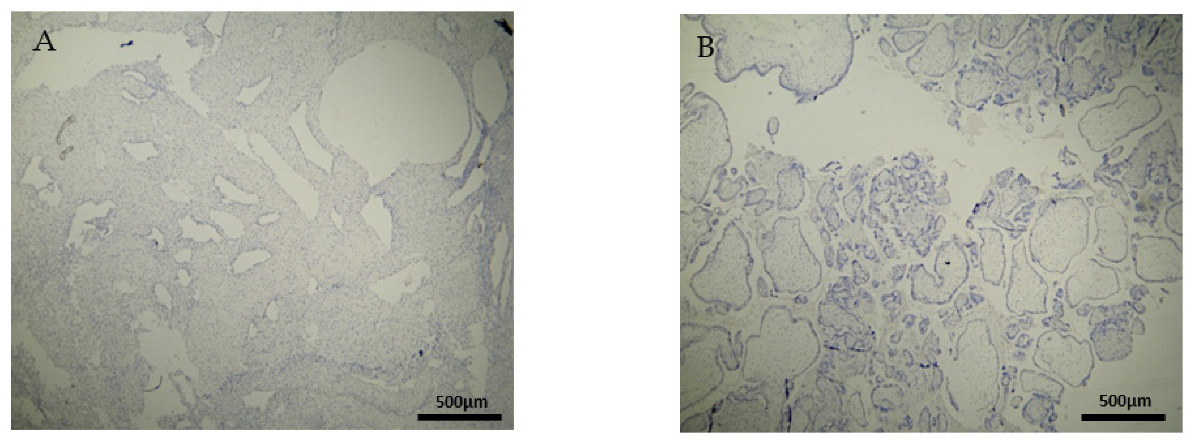 Clinpract 12 00022 g006