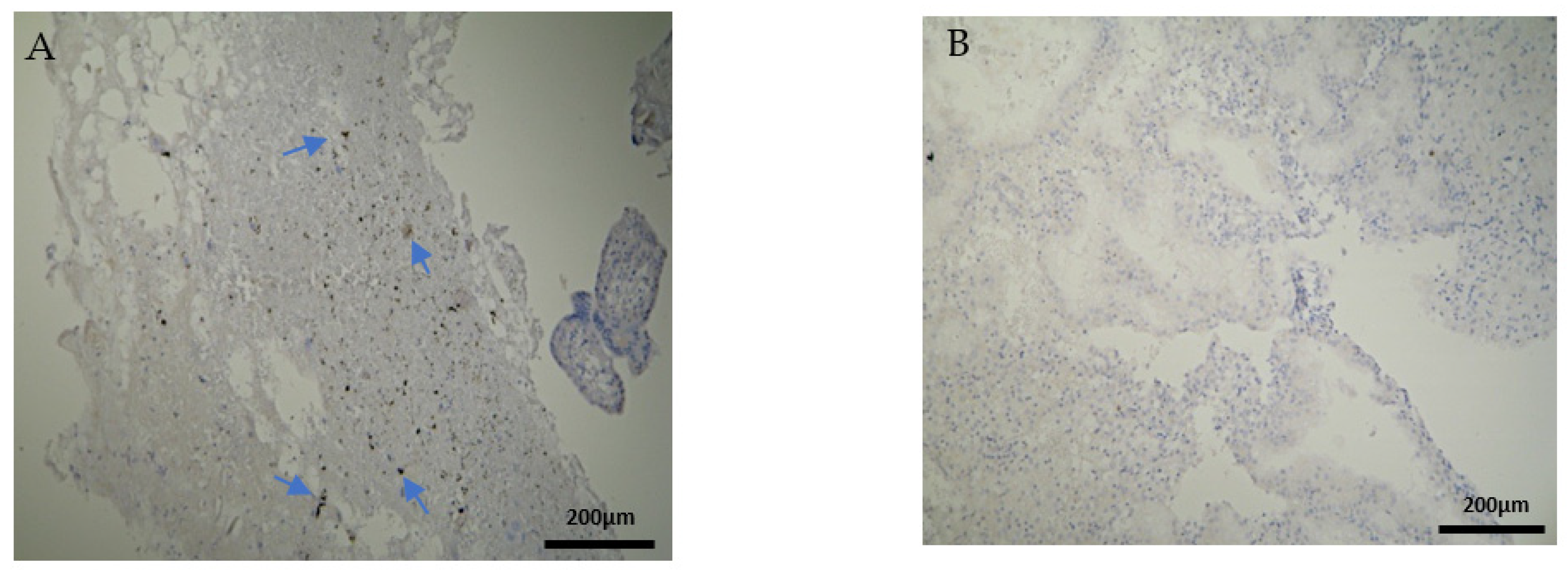 Clinpract 12 00022 g007