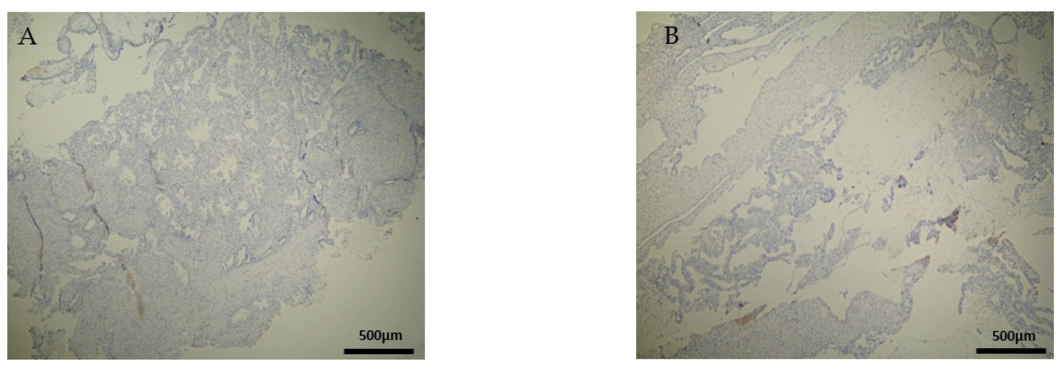 Clinpract 12 00022 g008