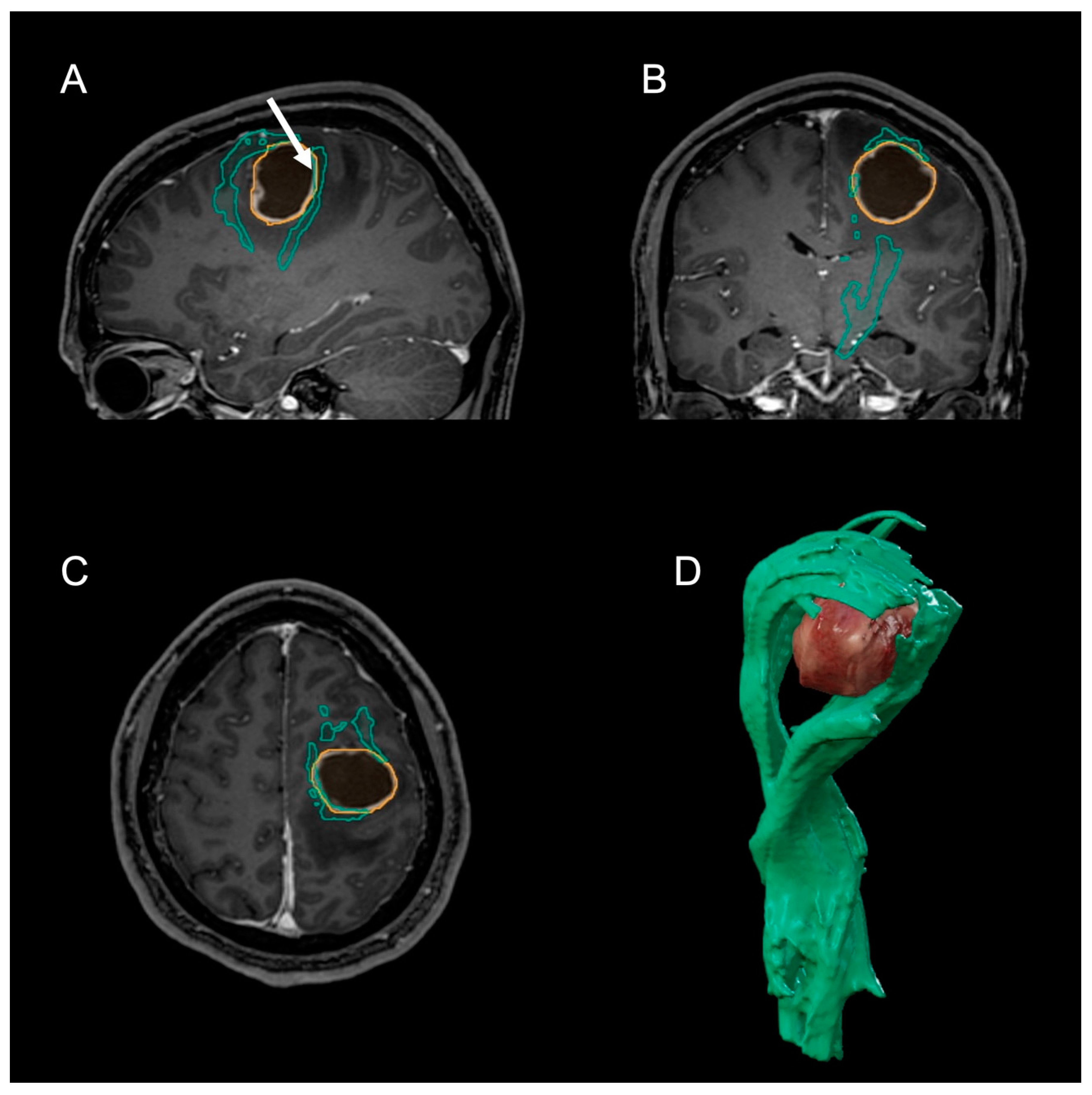 Clinpract 12 00027 g001