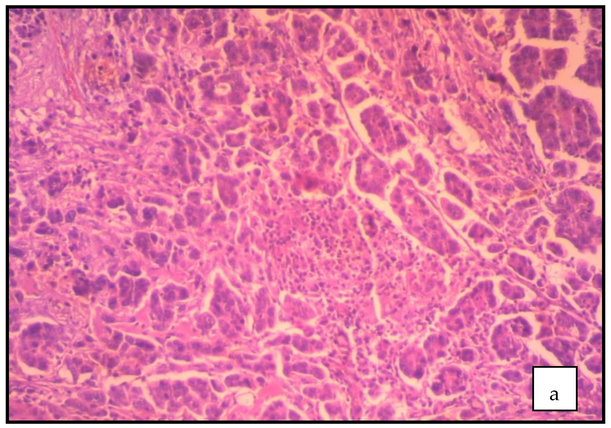 Clinpract 12 00030 g003a