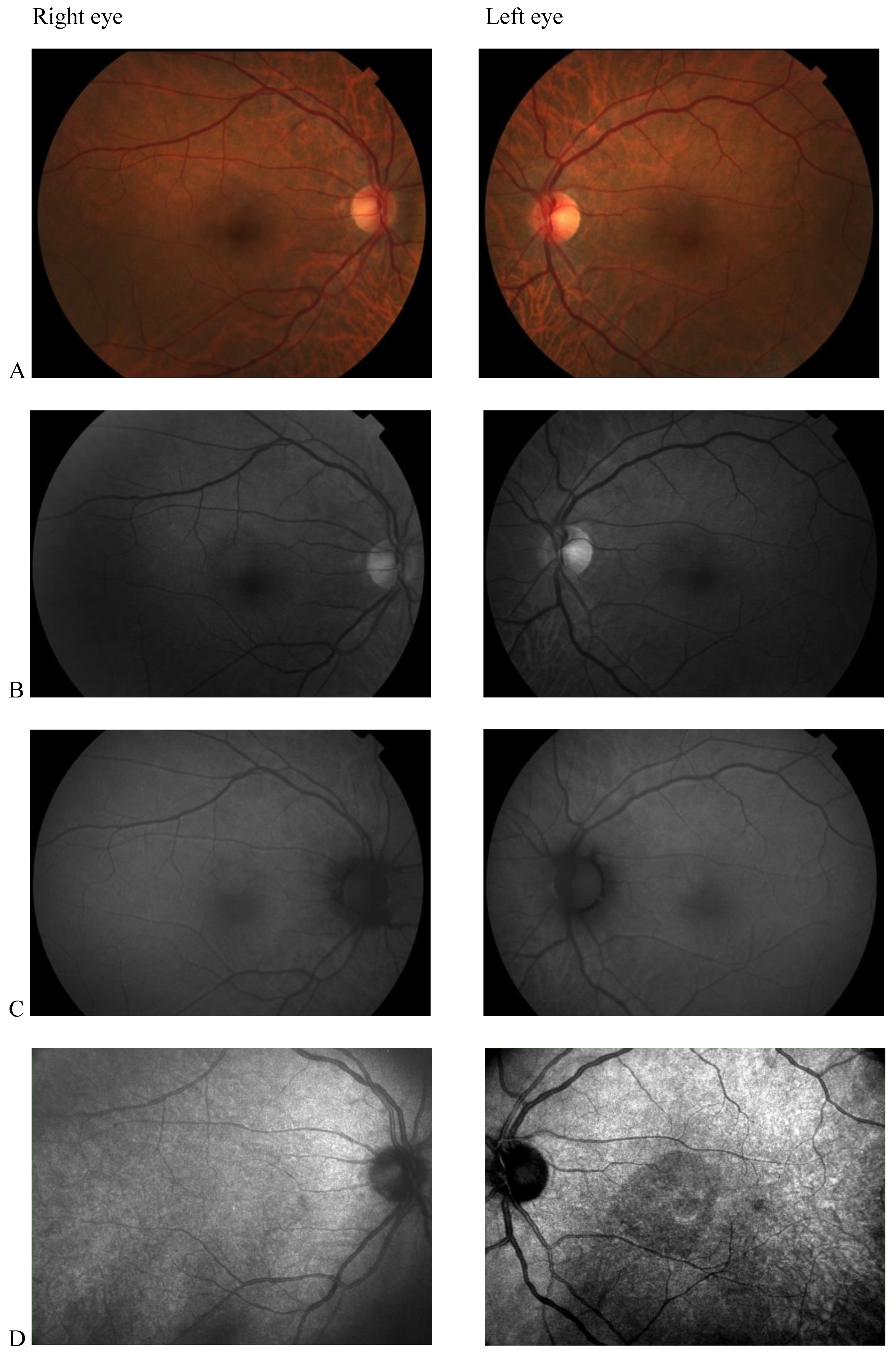 Clinpract 12 00033 g001 550