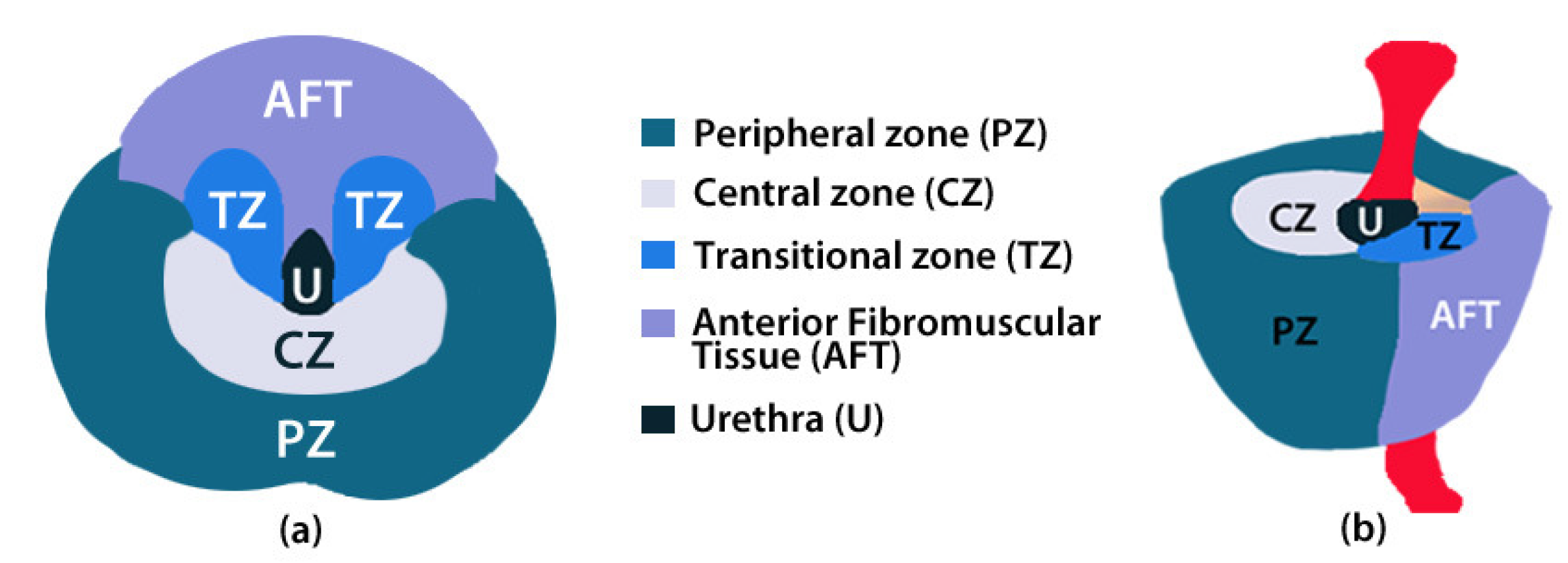 Clinpract 12 00040 g001 Clinpract 12 00040 g001