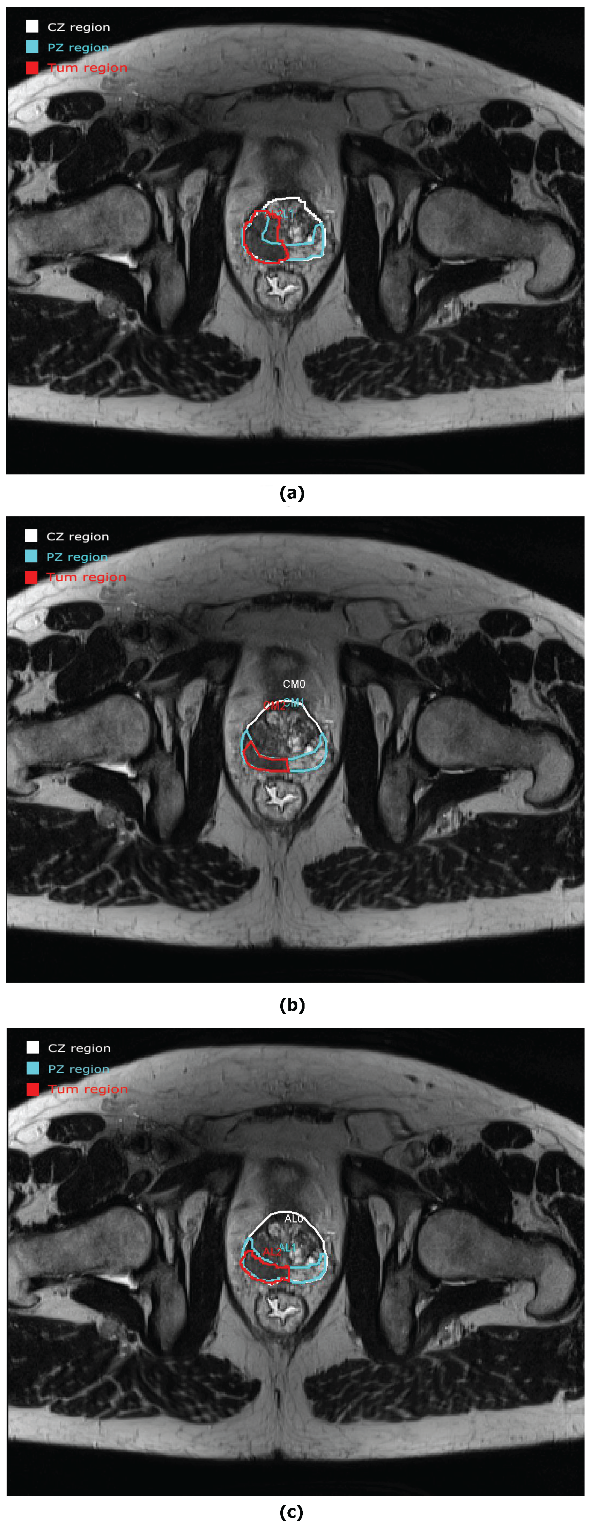 Clinpract 12 00040 g005 Clinpract 12 00040 g005