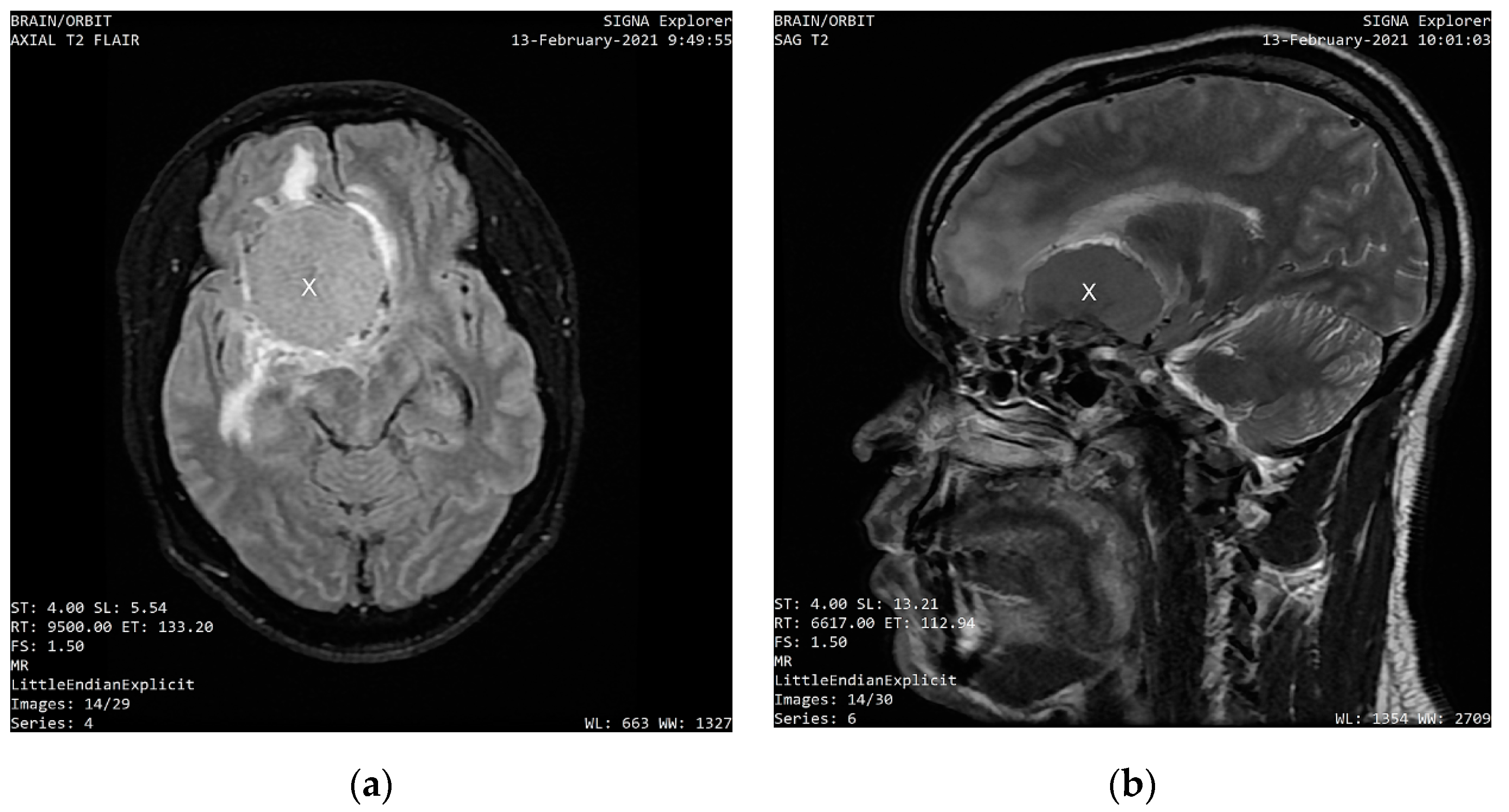 Clinpract 12 00056 g001