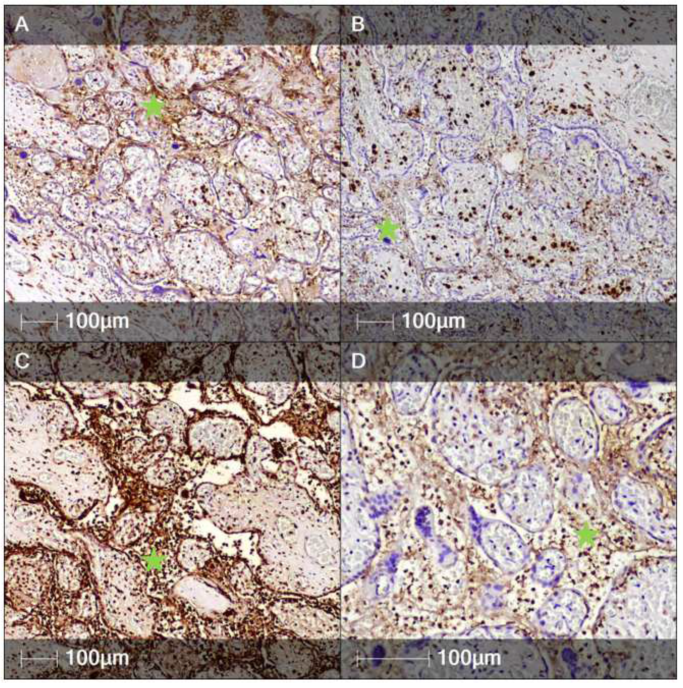 Clinpract 12 00061 g002 550