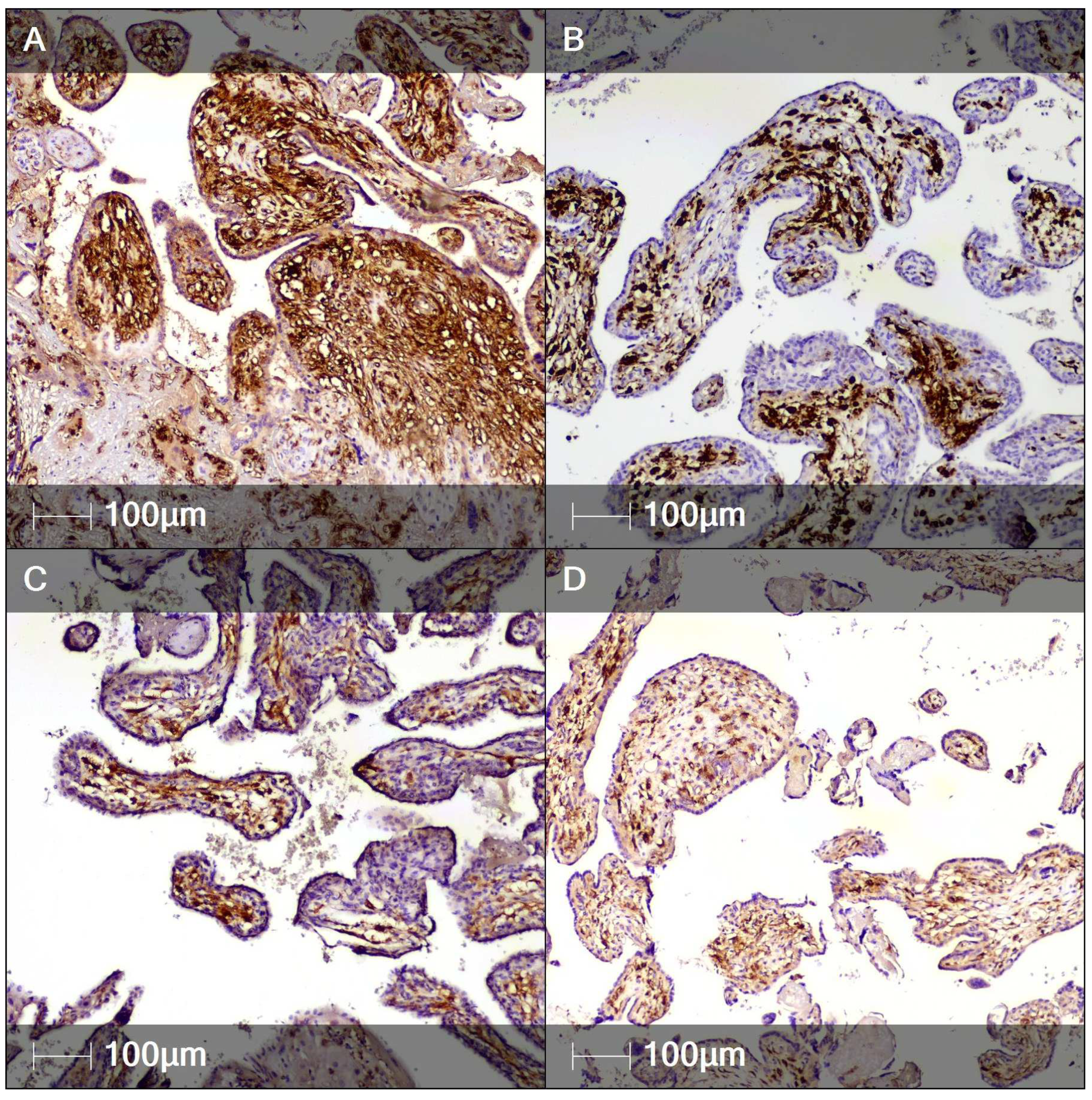 Clinpract 12 00061 g003 550