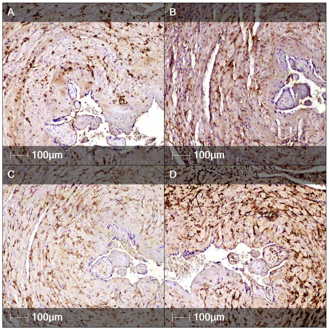 Clinpract 12 00061 g004 550