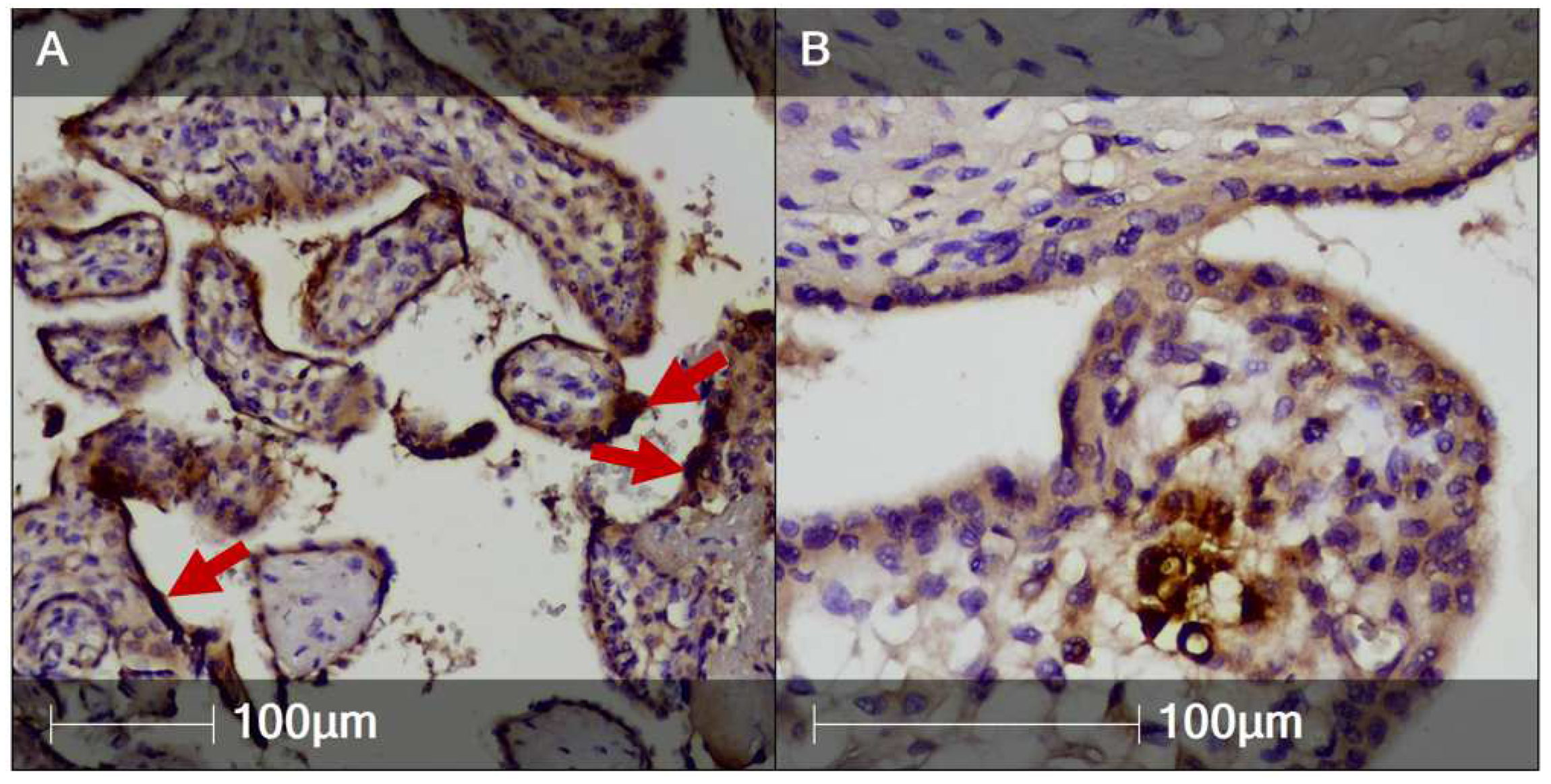 Clinpract 12 00061 g005 550