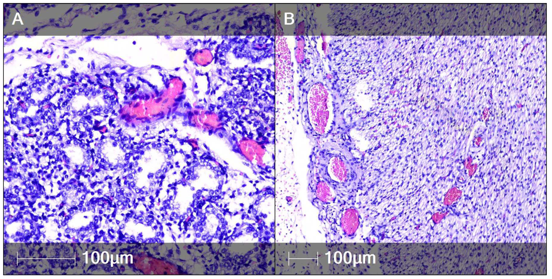 Clinpract 12 00061 g006 550