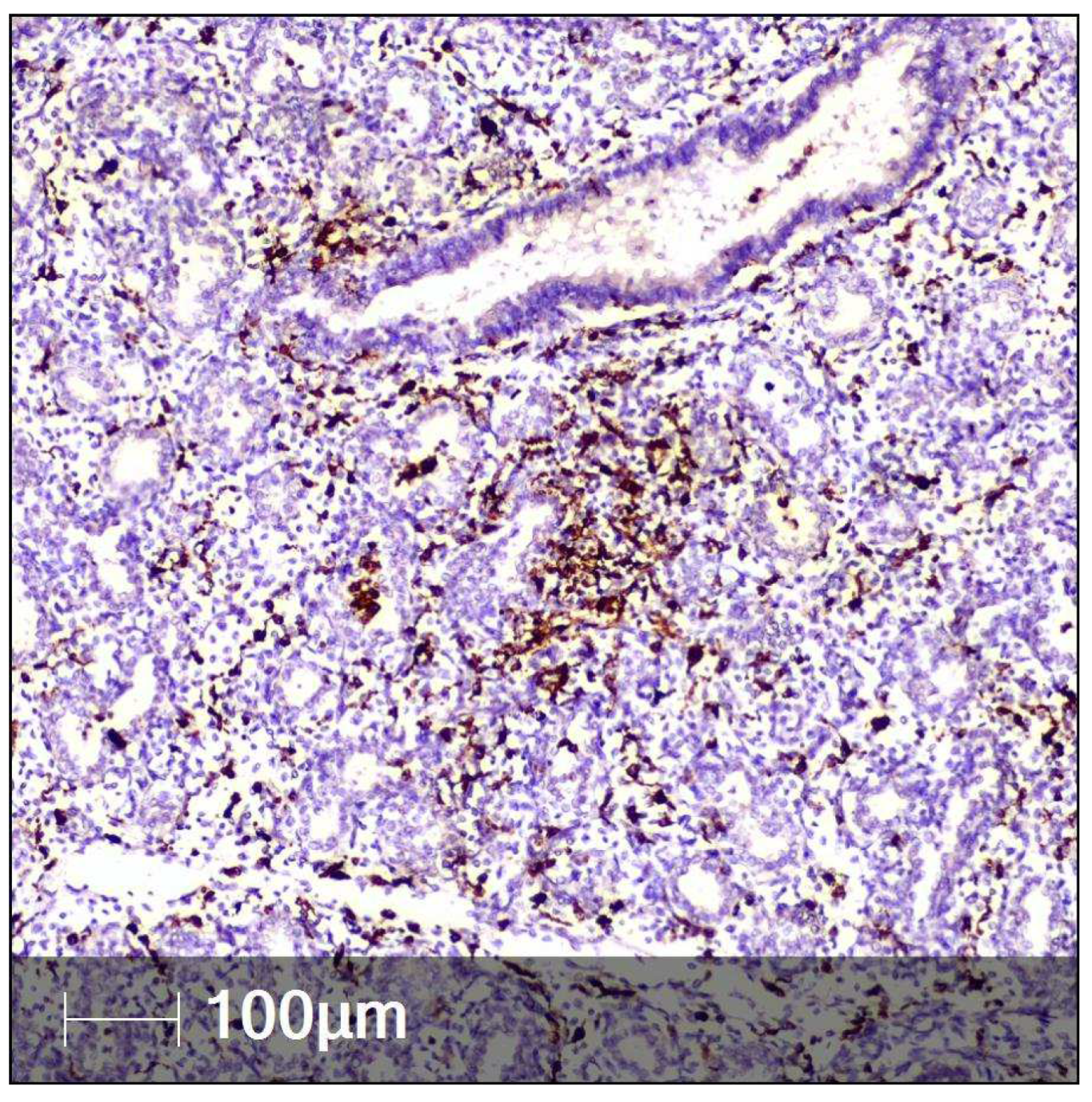 Clinpract 12 00061 g007 550